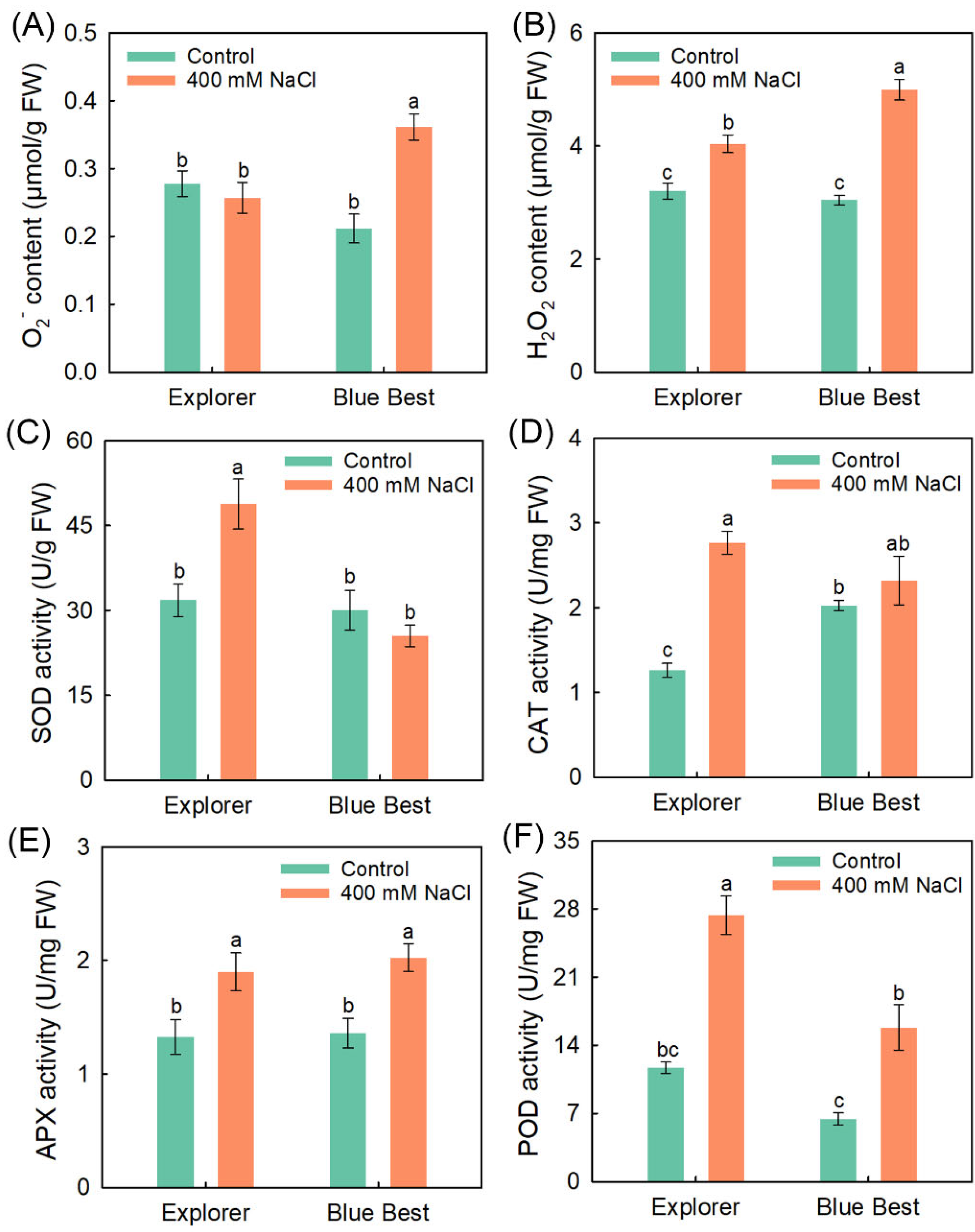 Plants 13 02107 g005