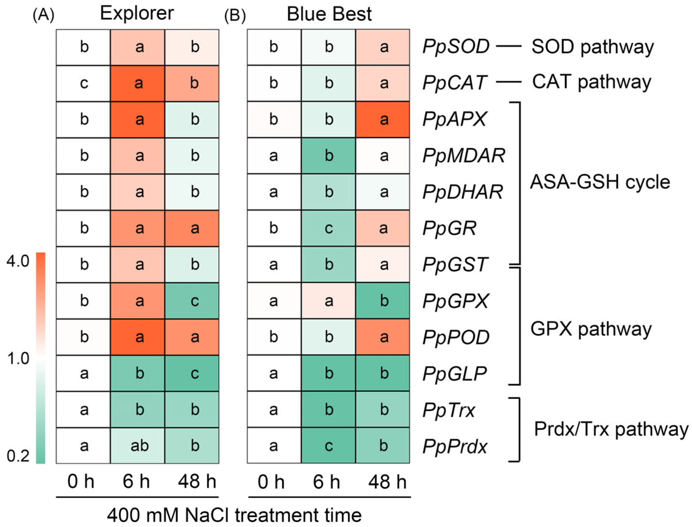 Plants 13 02107 g008