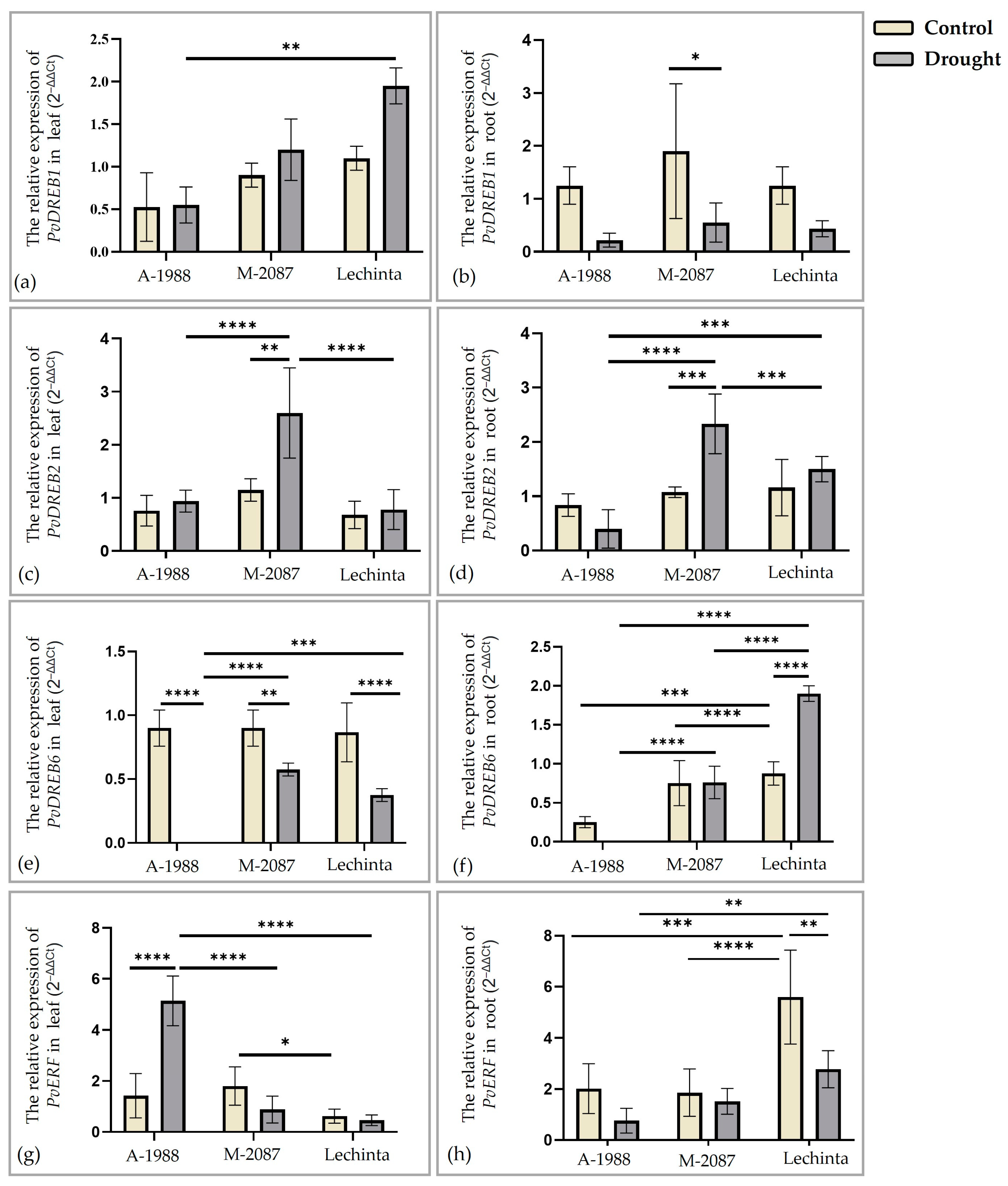 Plants 13 02111 g013