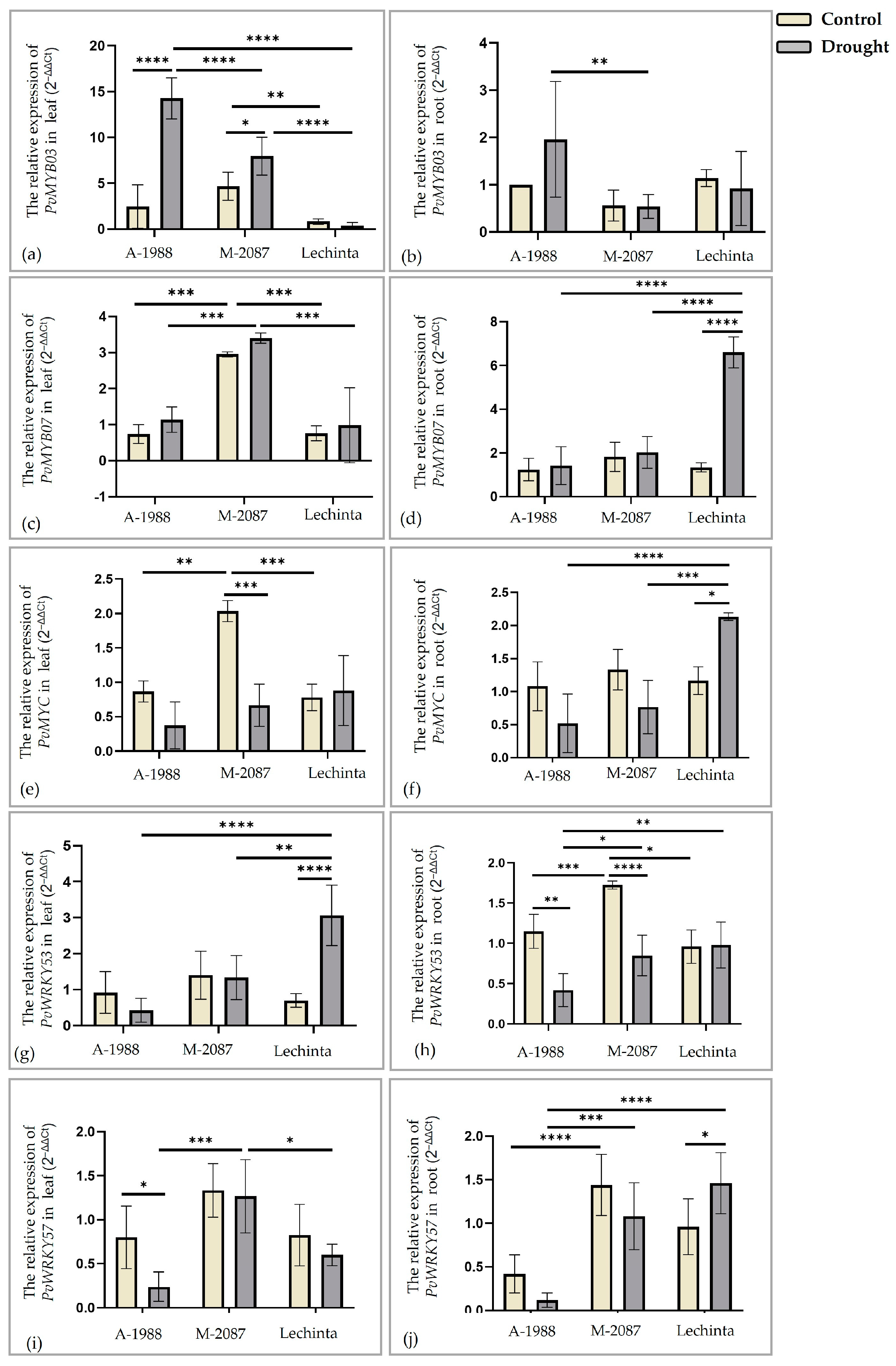 Plants 13 02111 g014