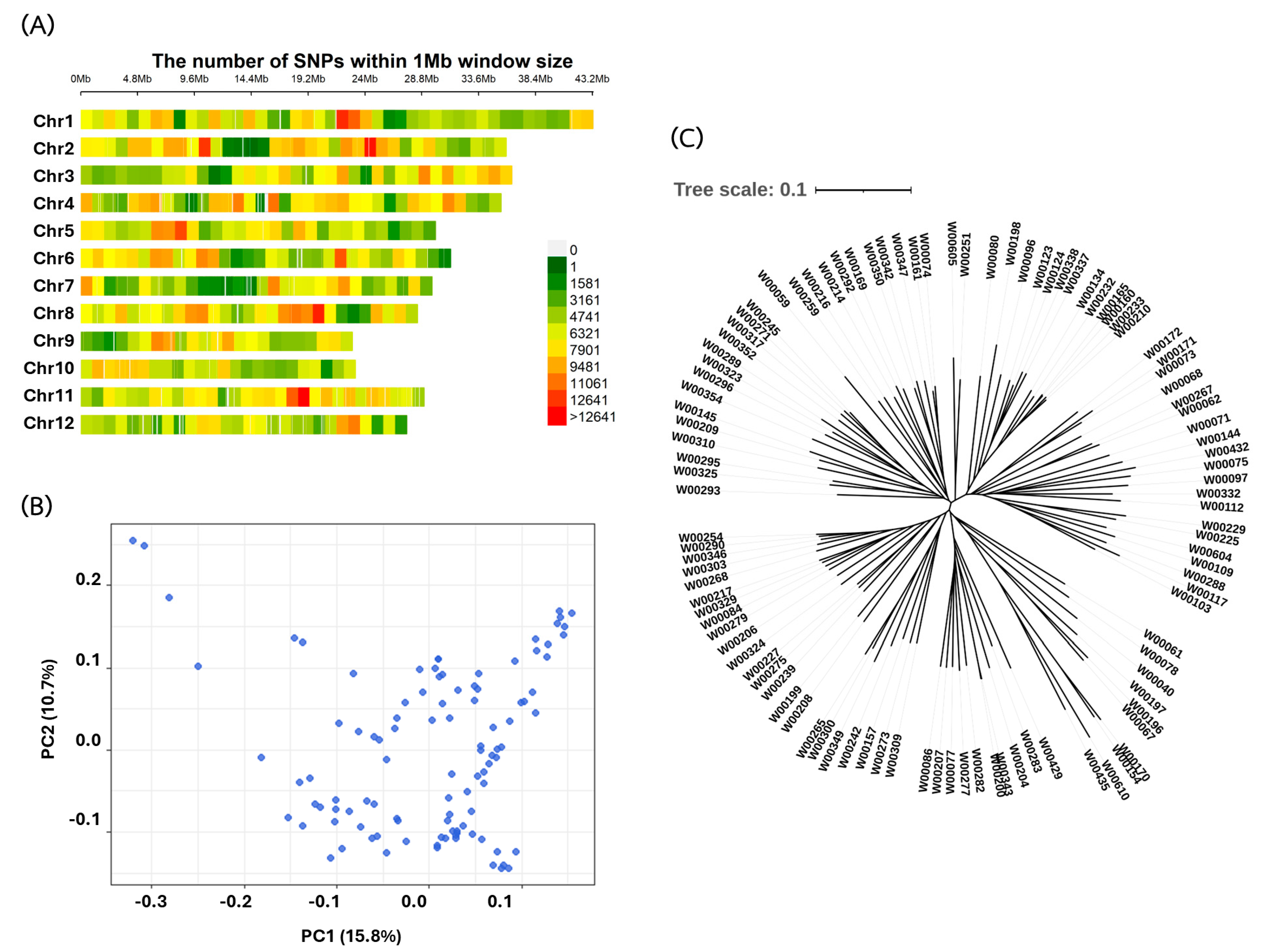 Plants 13 02112 g003 Plants 13 02112 g003