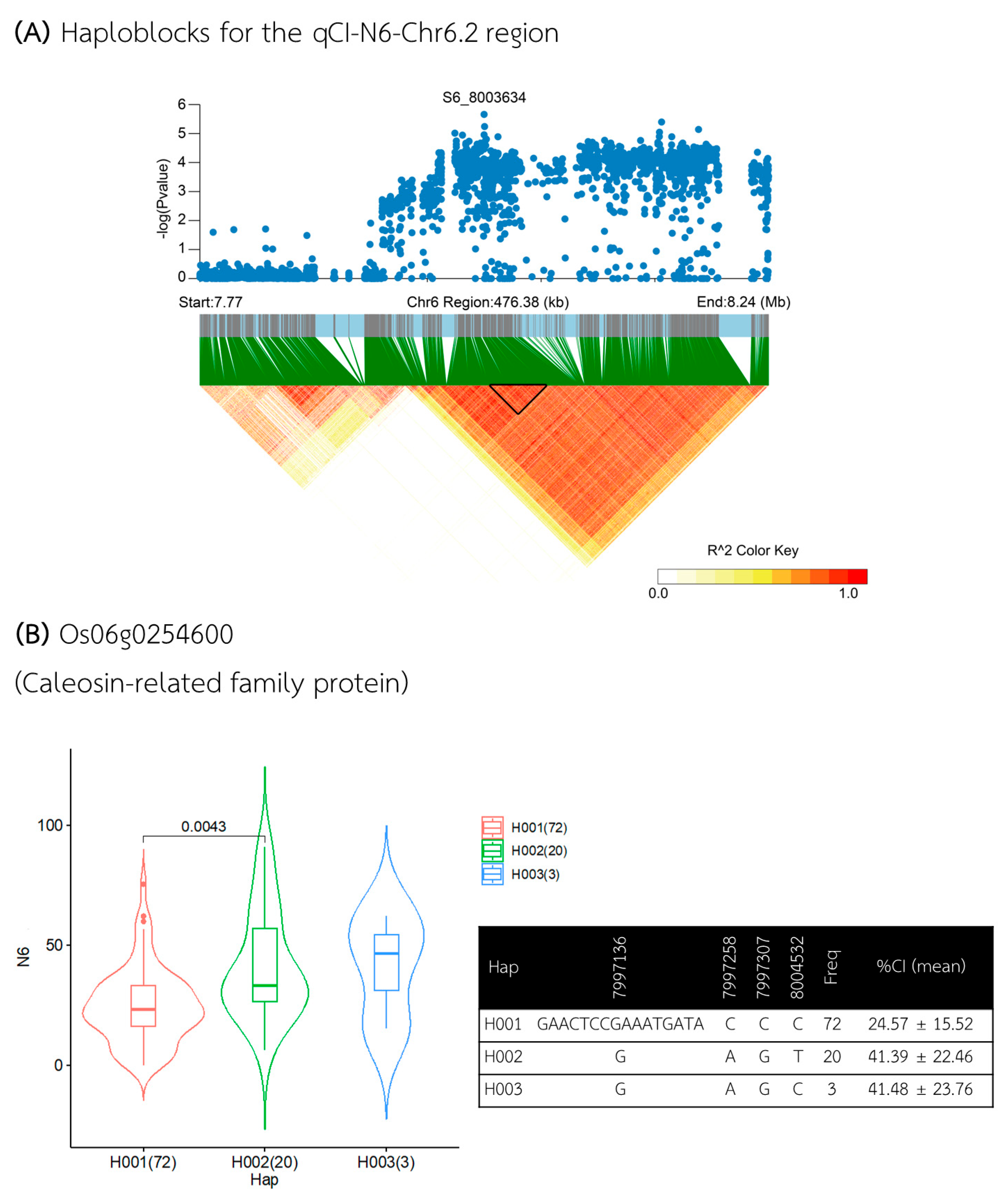 Plants 13 02112 g009 Plants 13 02112 g009