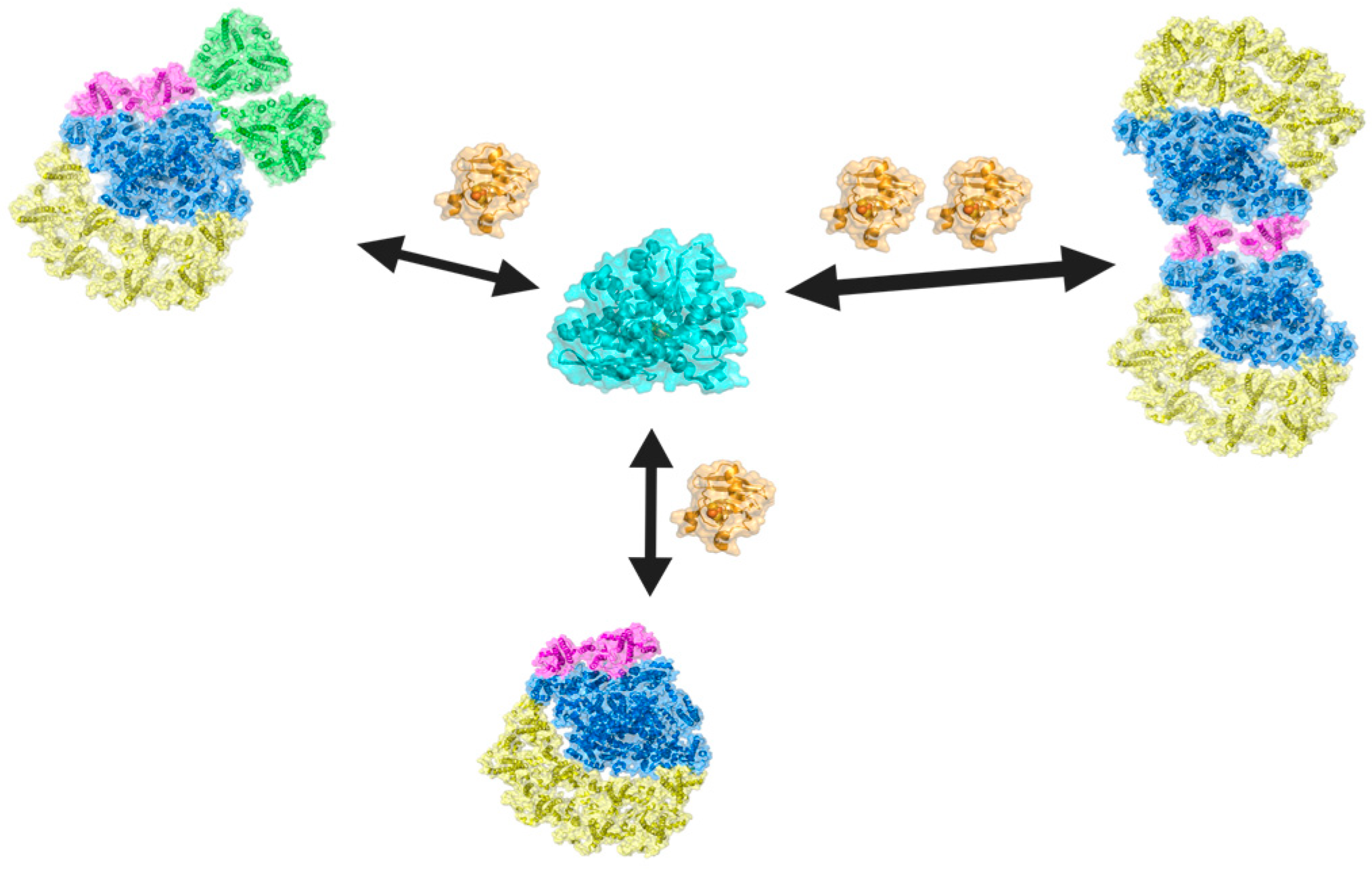 Plants 13 02114 g001 Plants 13 02114 g001