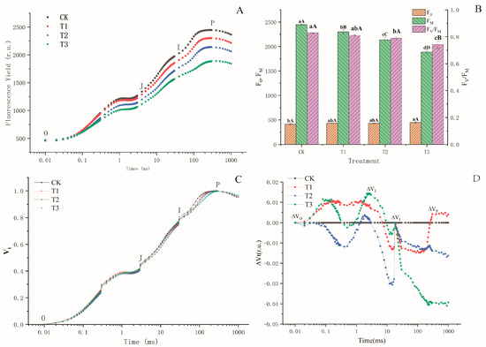 BLUE ROSE様 Effects of Drought Stress on Photosynthesis and Chlorophyll