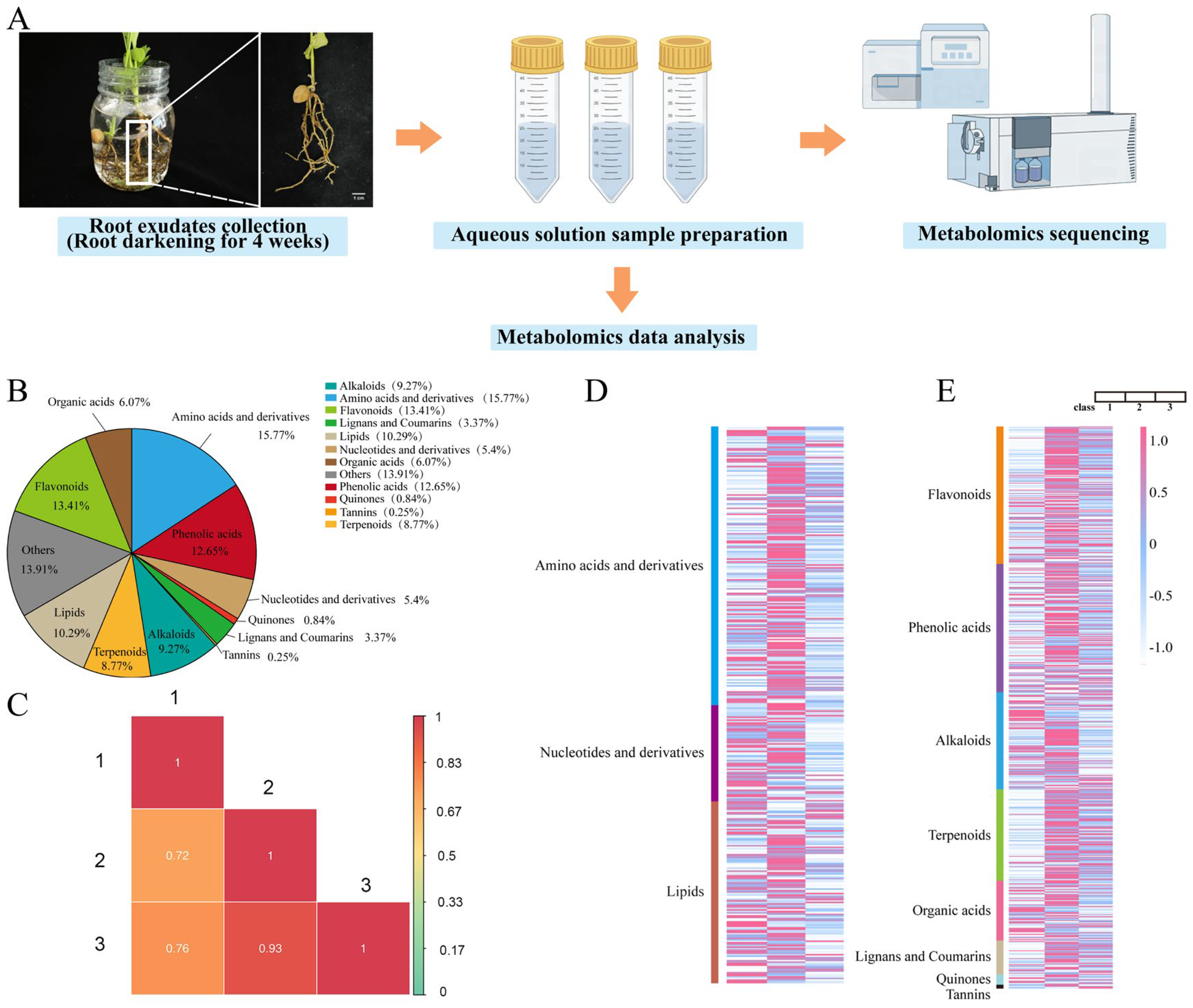 Plants 13 02122 g001