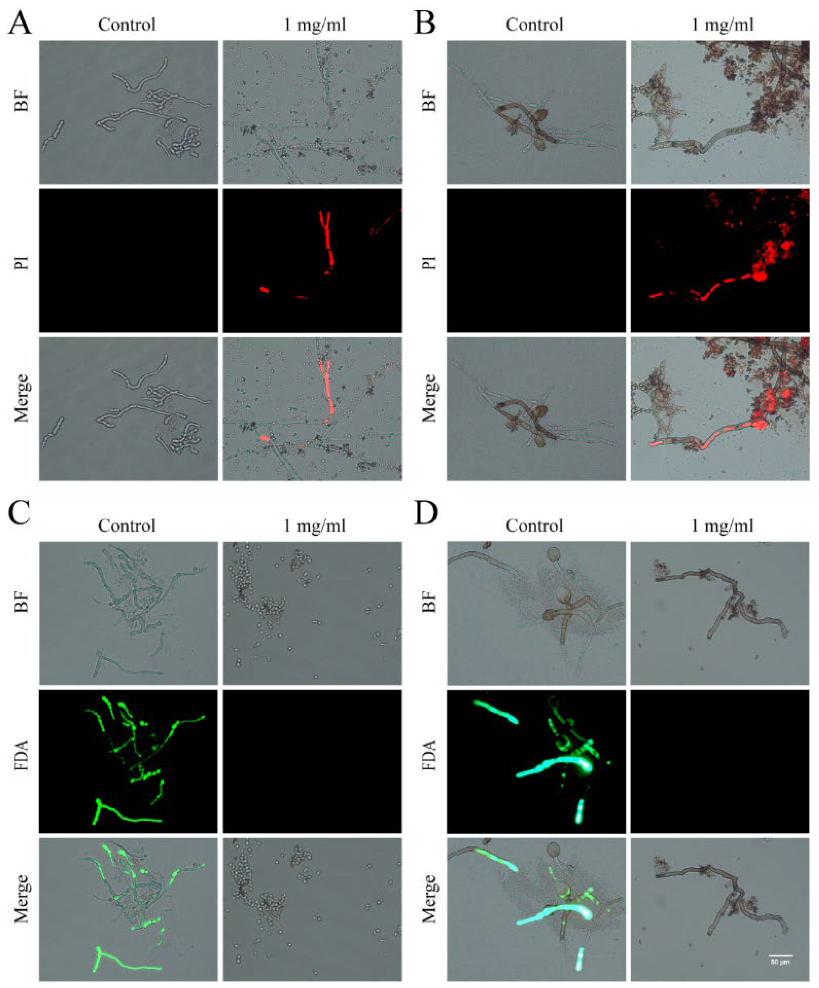 Plants 13 02122 g004