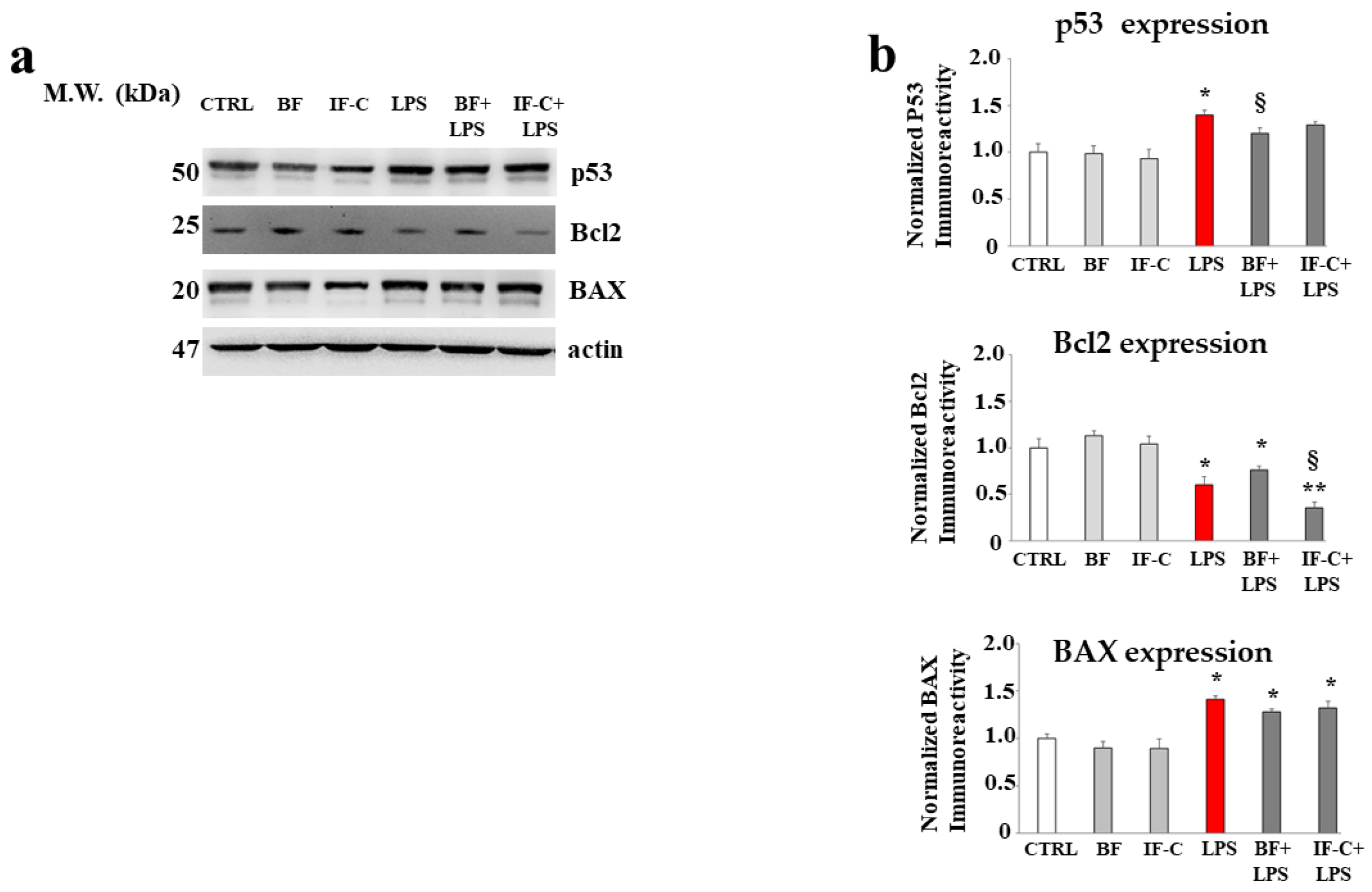 Plants 13 02123 g008