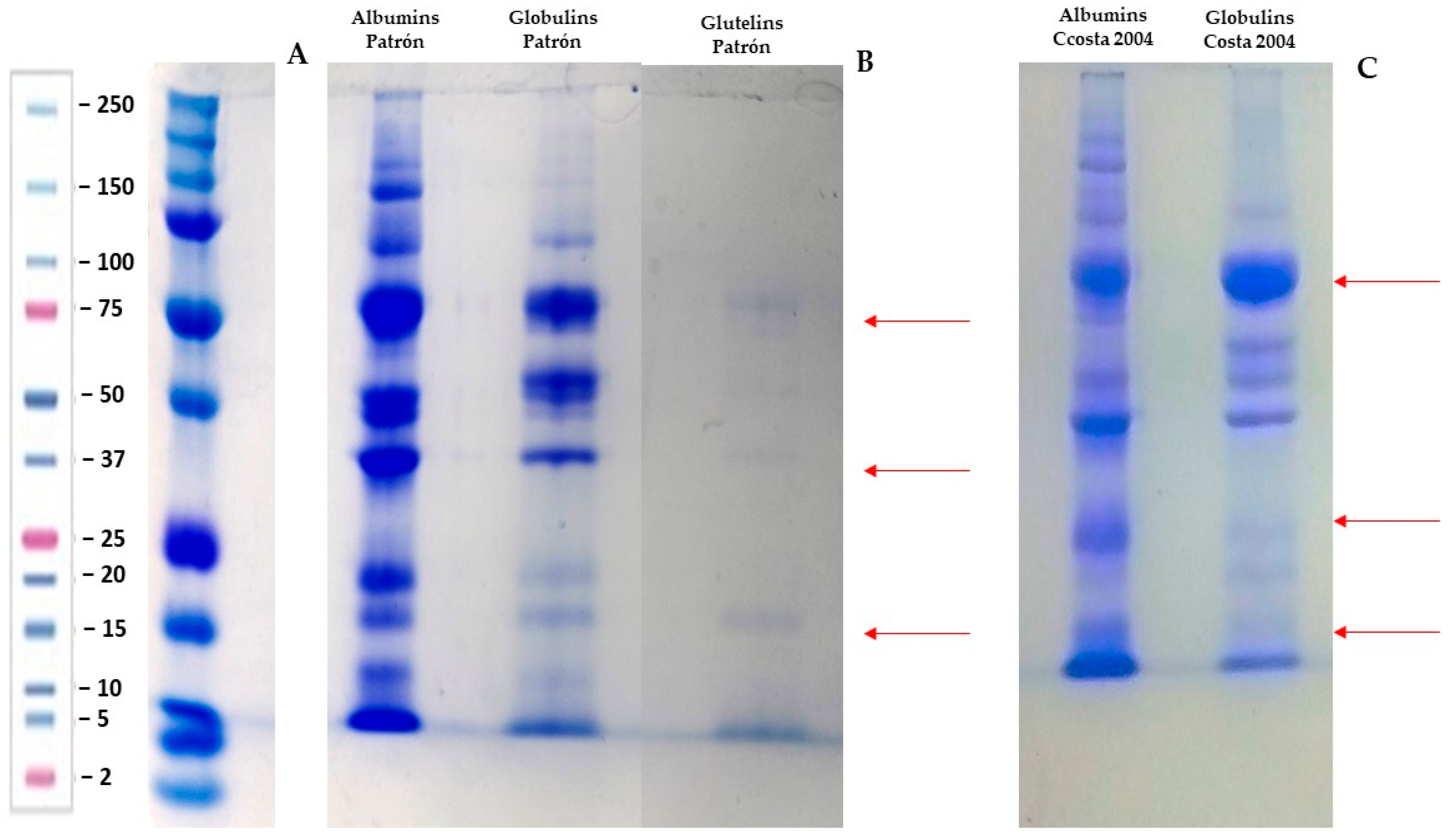 Plants 13 02125 g001