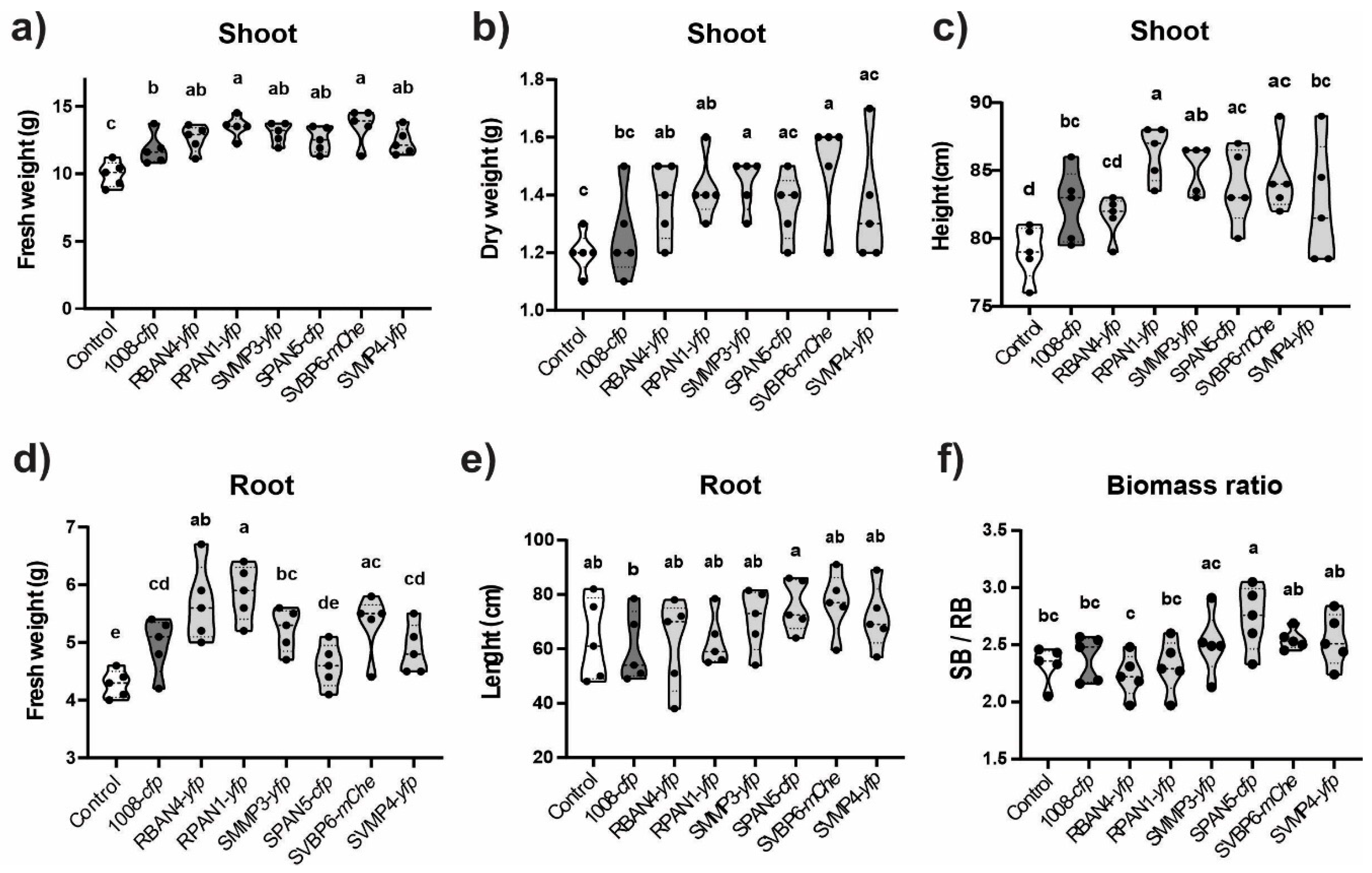 Plants 13 02130 g006