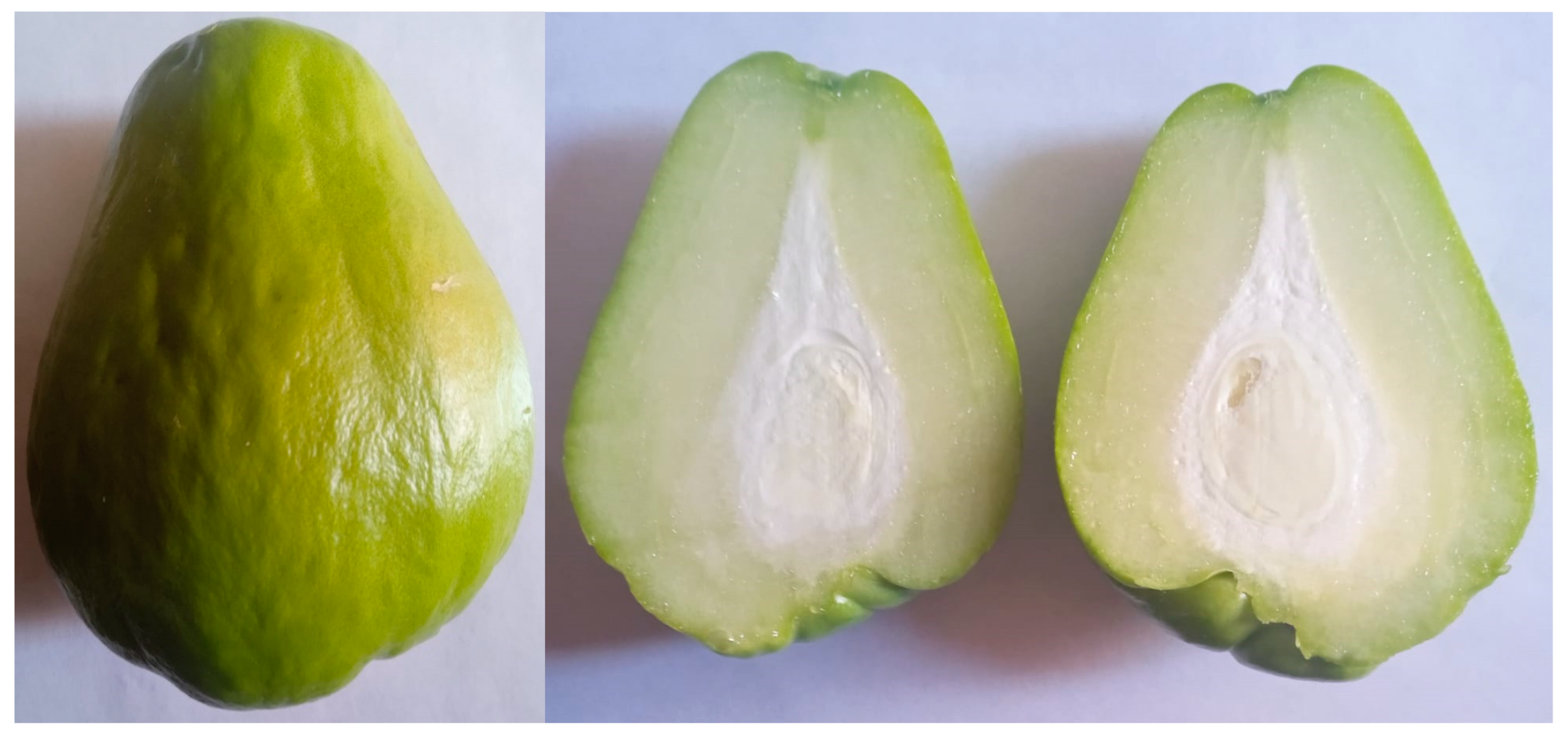 Benefits of chayote juice hotsell