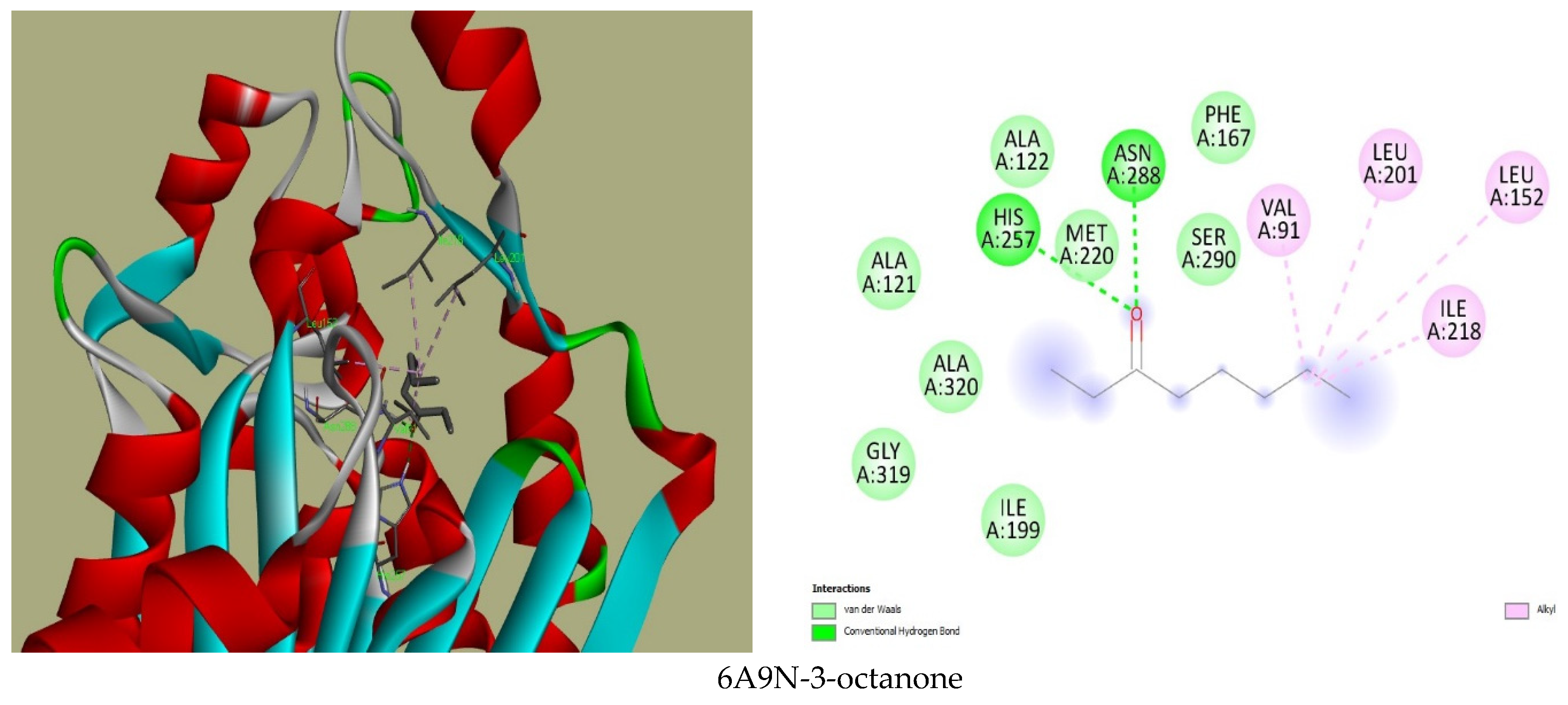 Plants 13 02136 g001a
