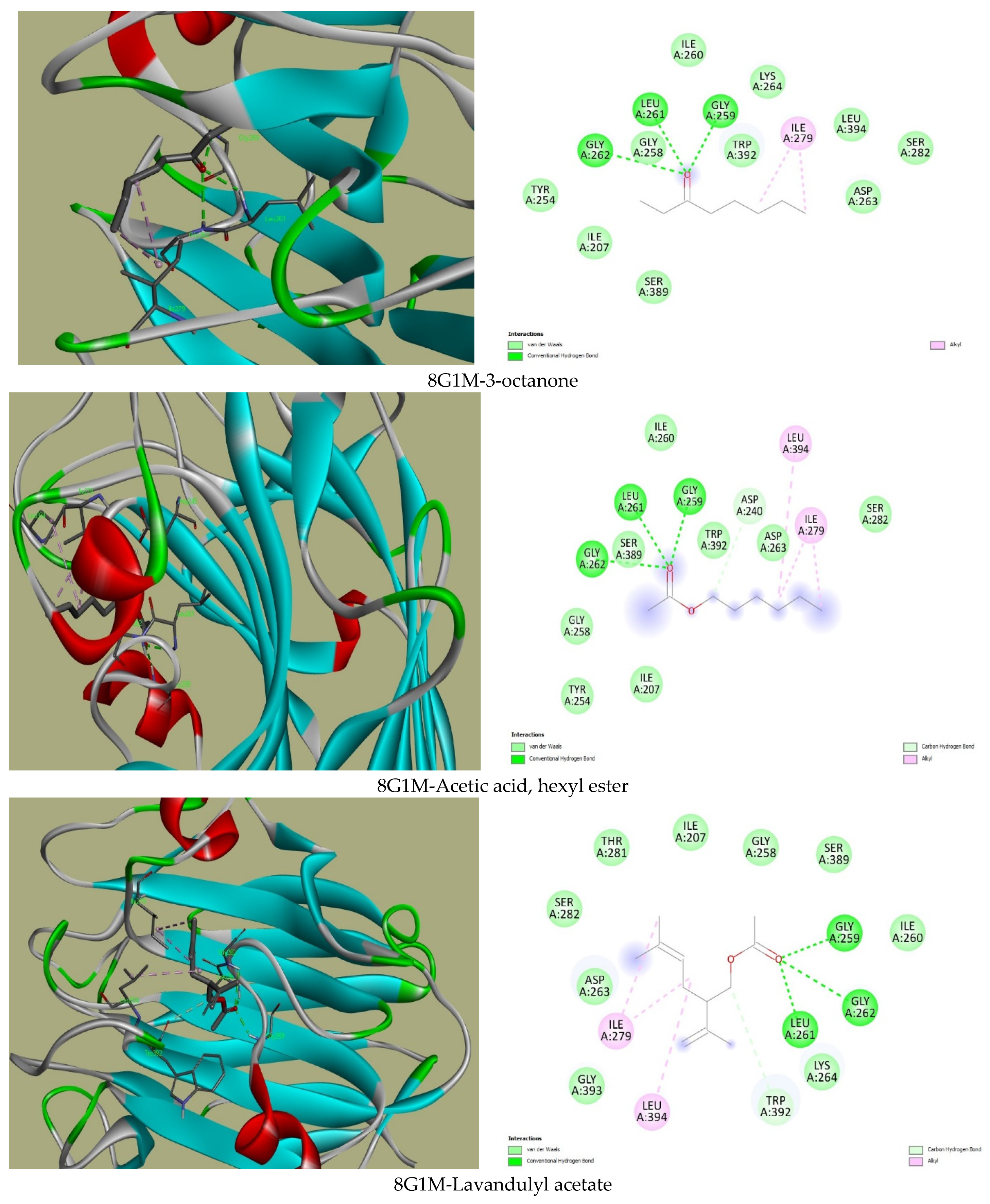 Plants 13 02136 g001d