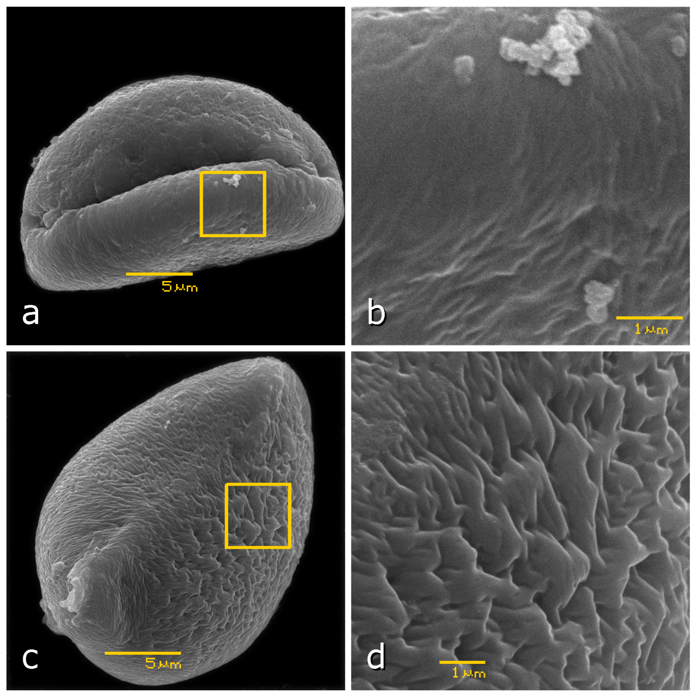Plants 13 02140 g001