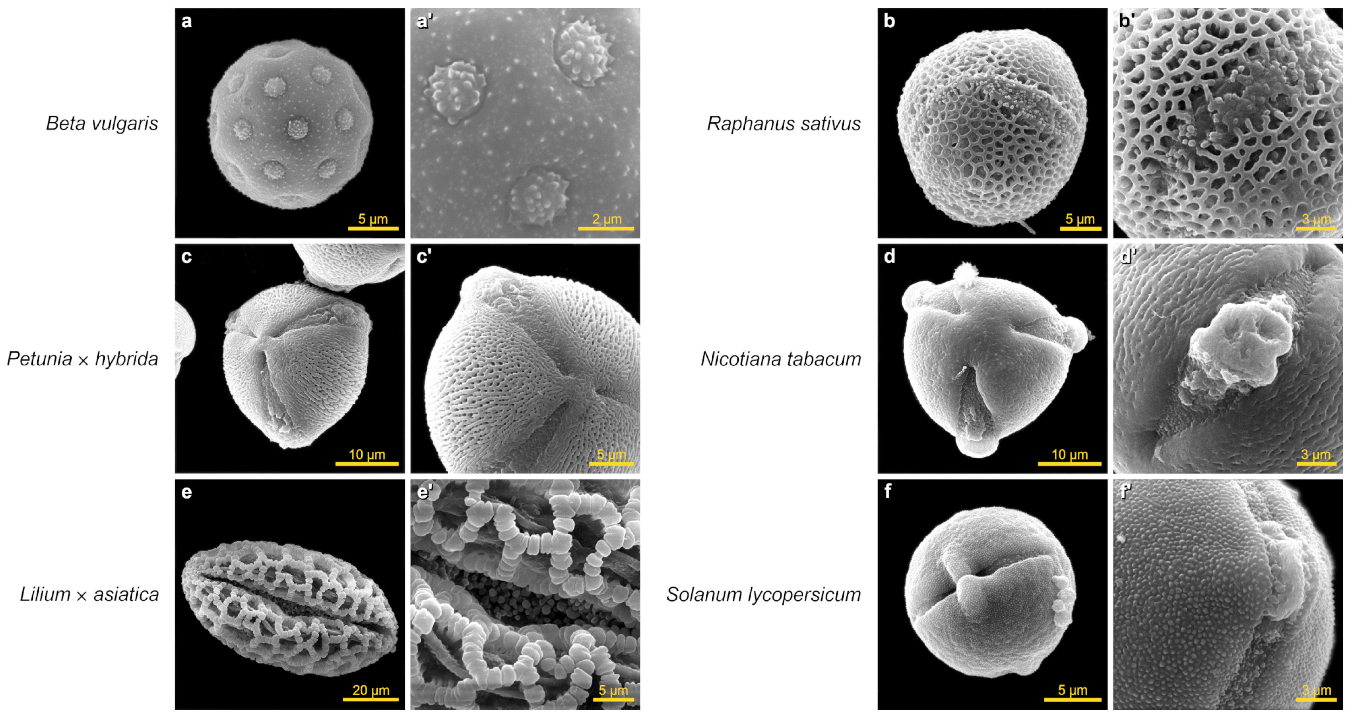 Plants 13 02140 g003