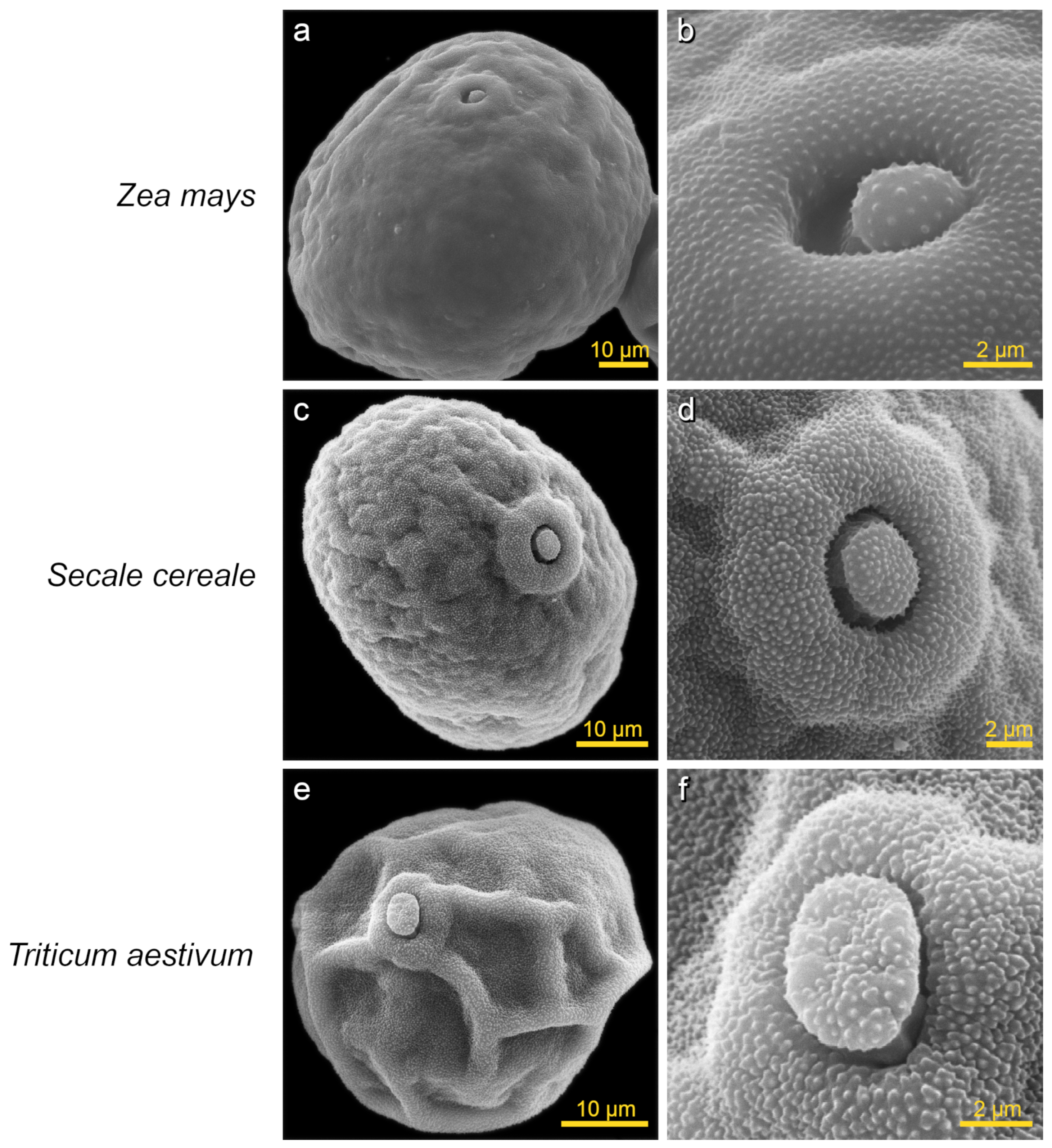 Plants 13 02140 g004