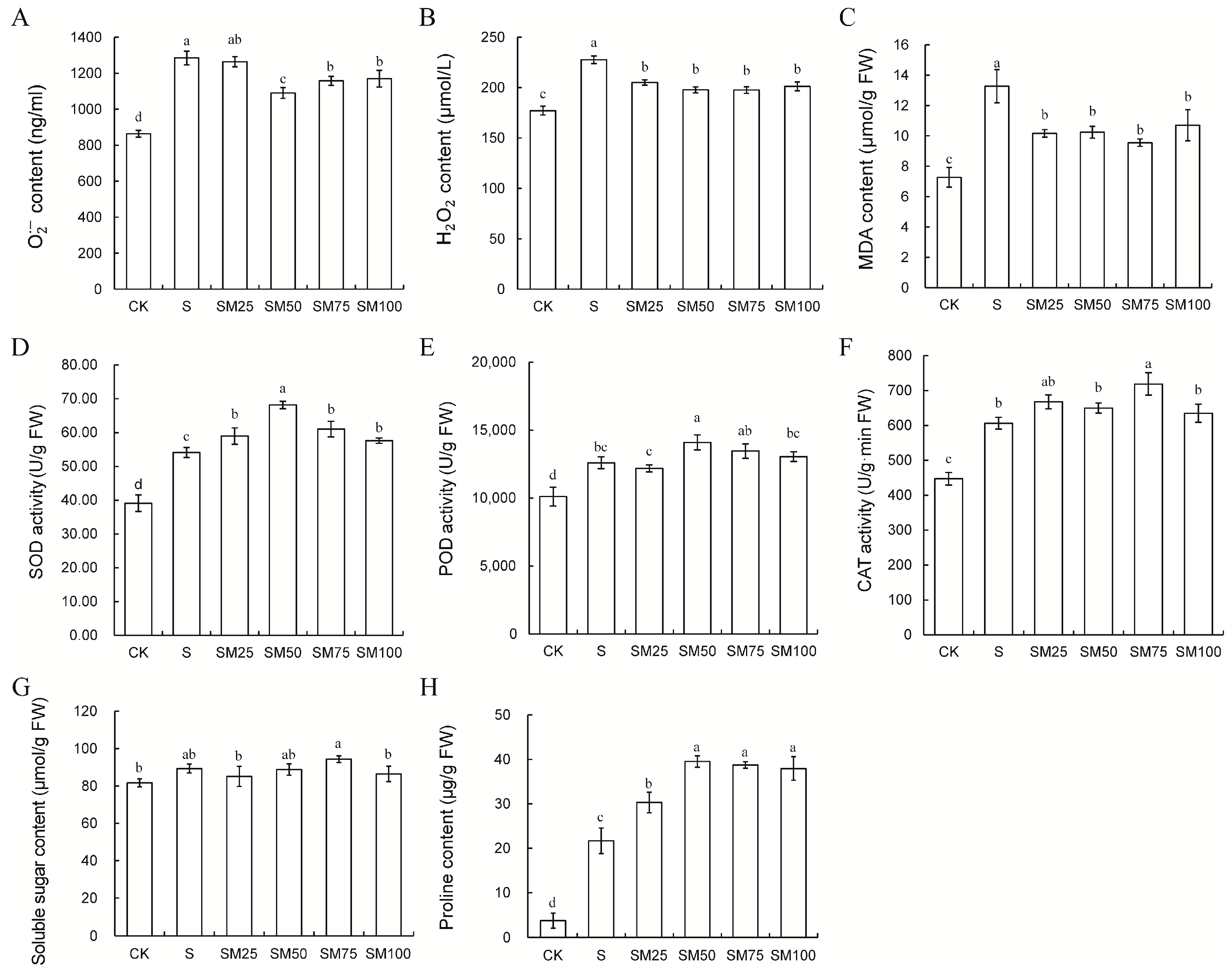 Plants 13 02142 g002