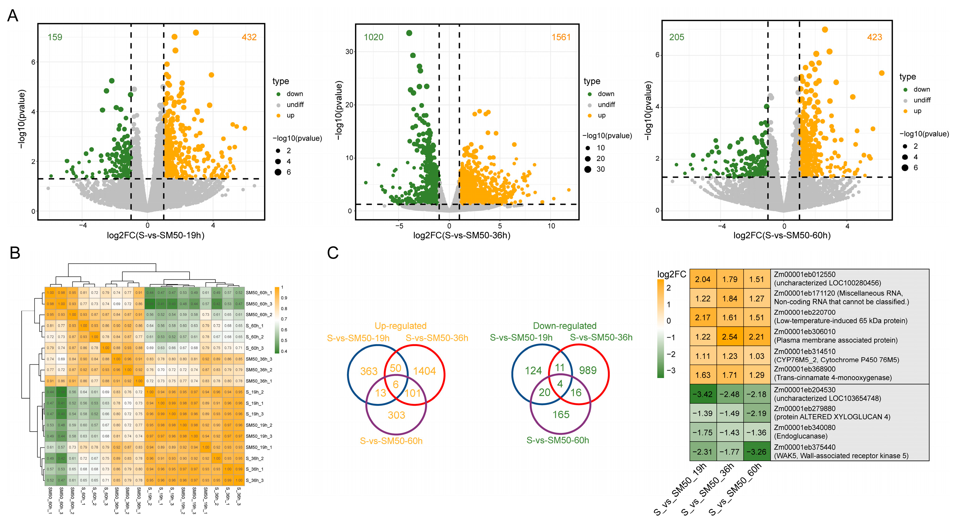 Plants 13 02142 g004