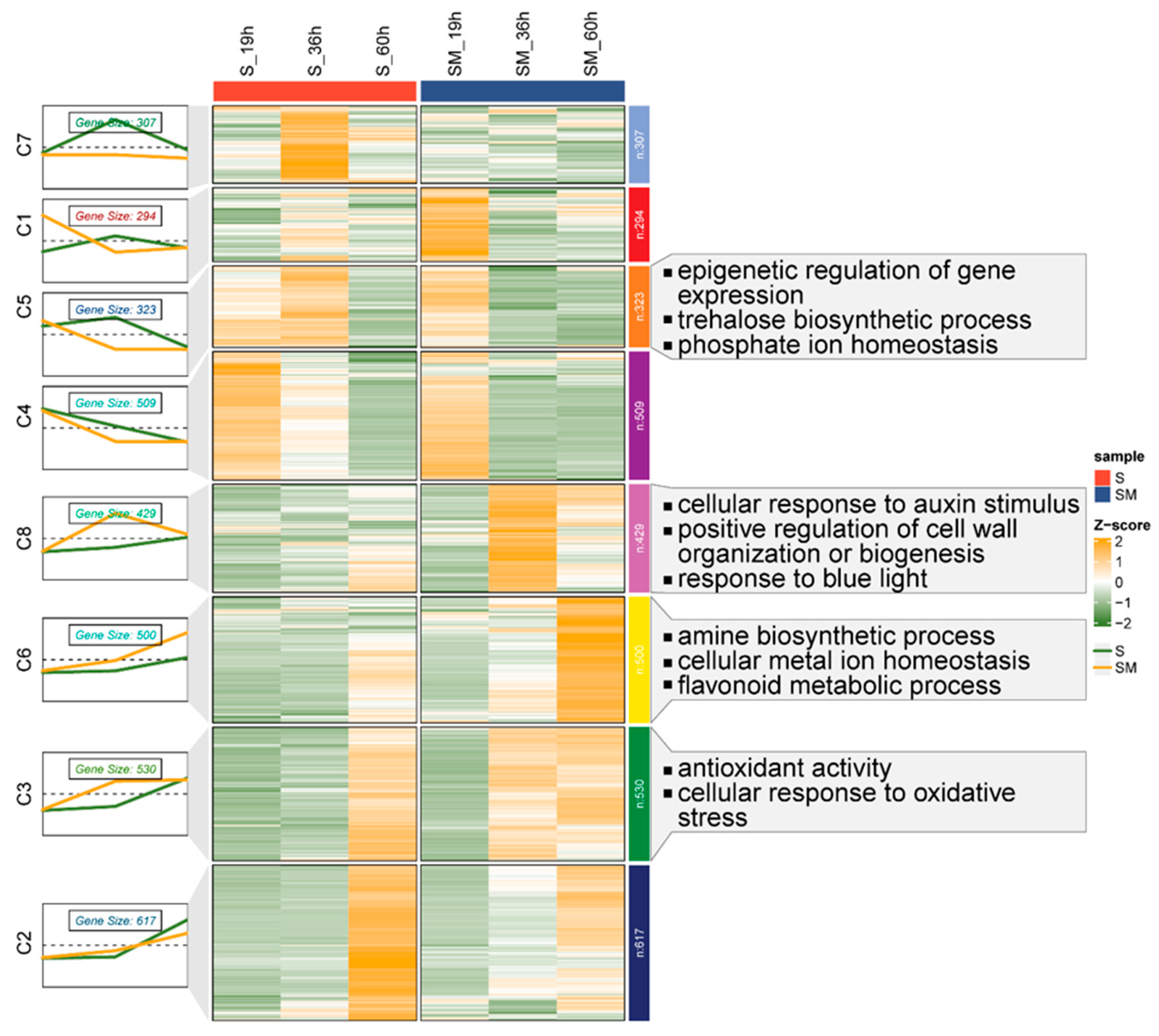 Plants 13 02142 g006