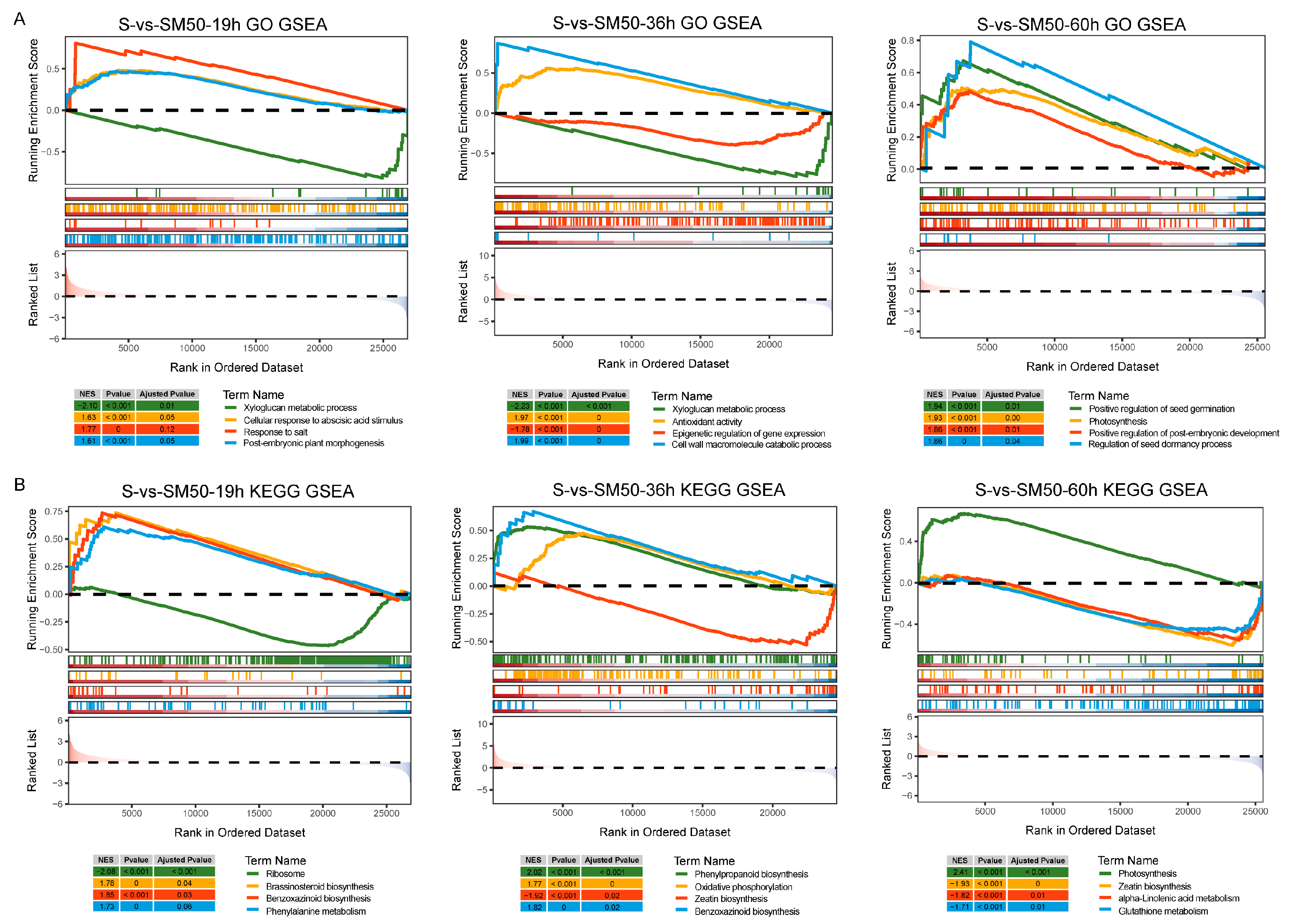 Plants 13 02142 g007