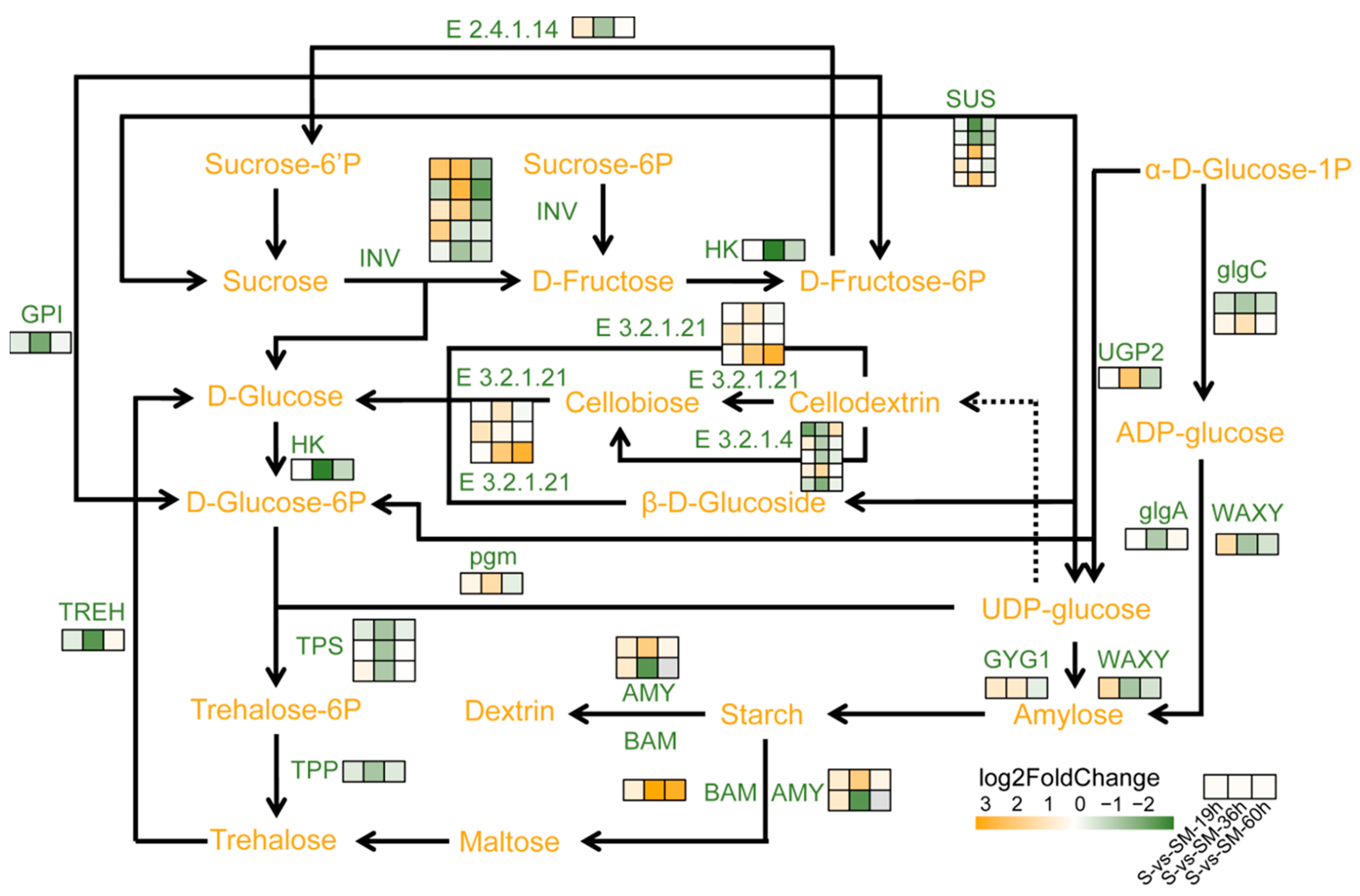 Plants 13 02142 g009