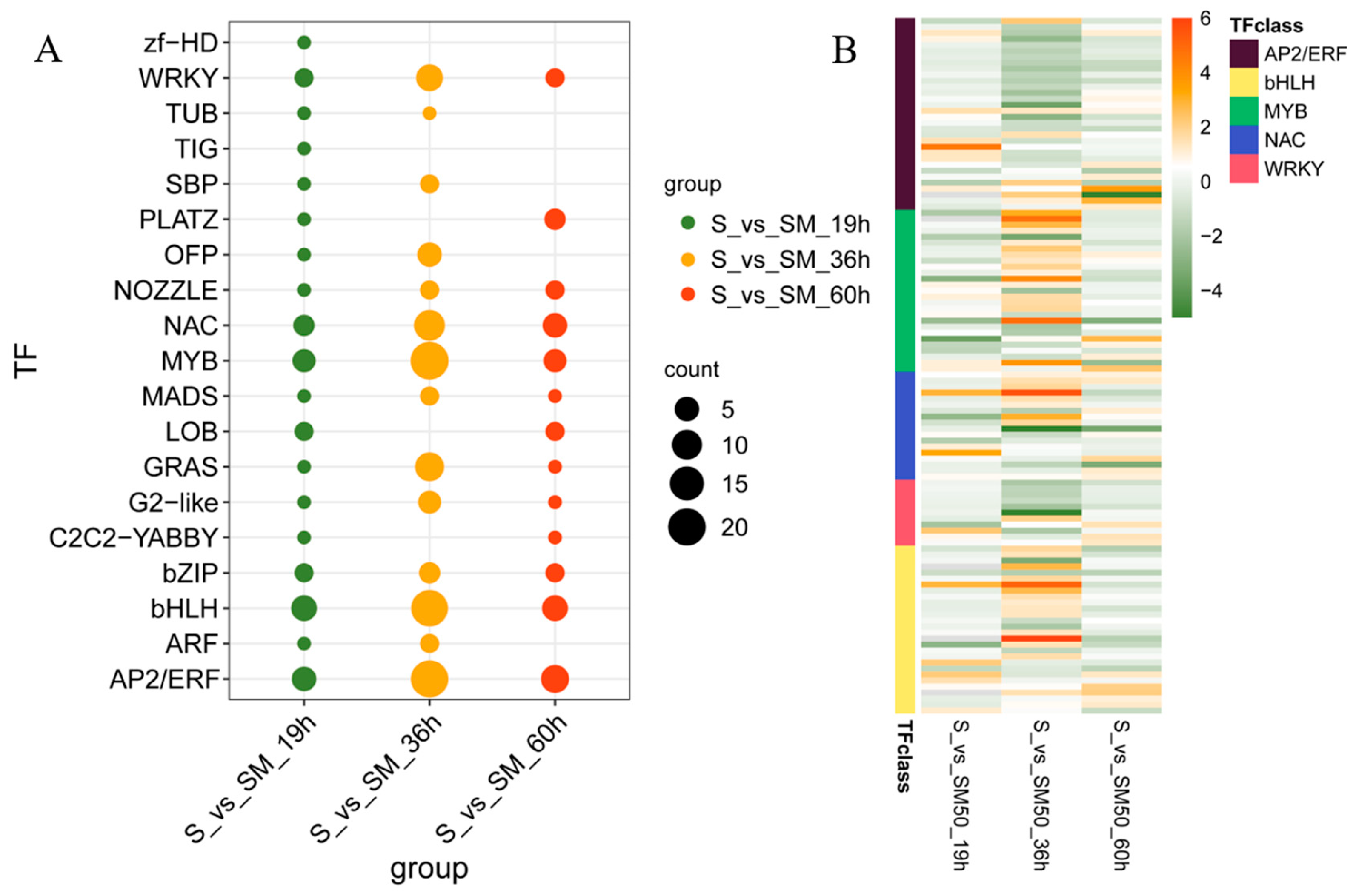 Plants 13 02142 g010