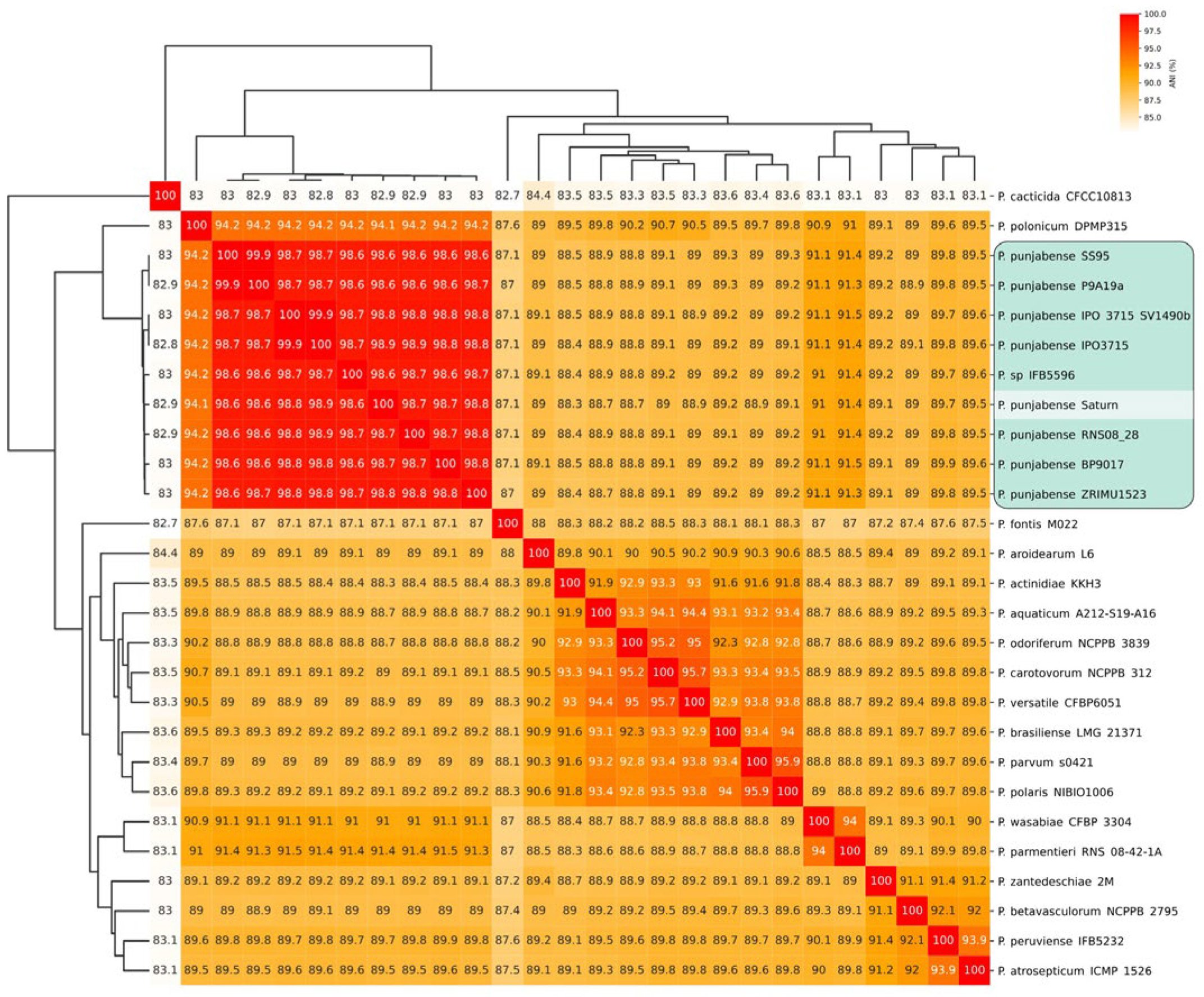 Plants 13 02144 g001