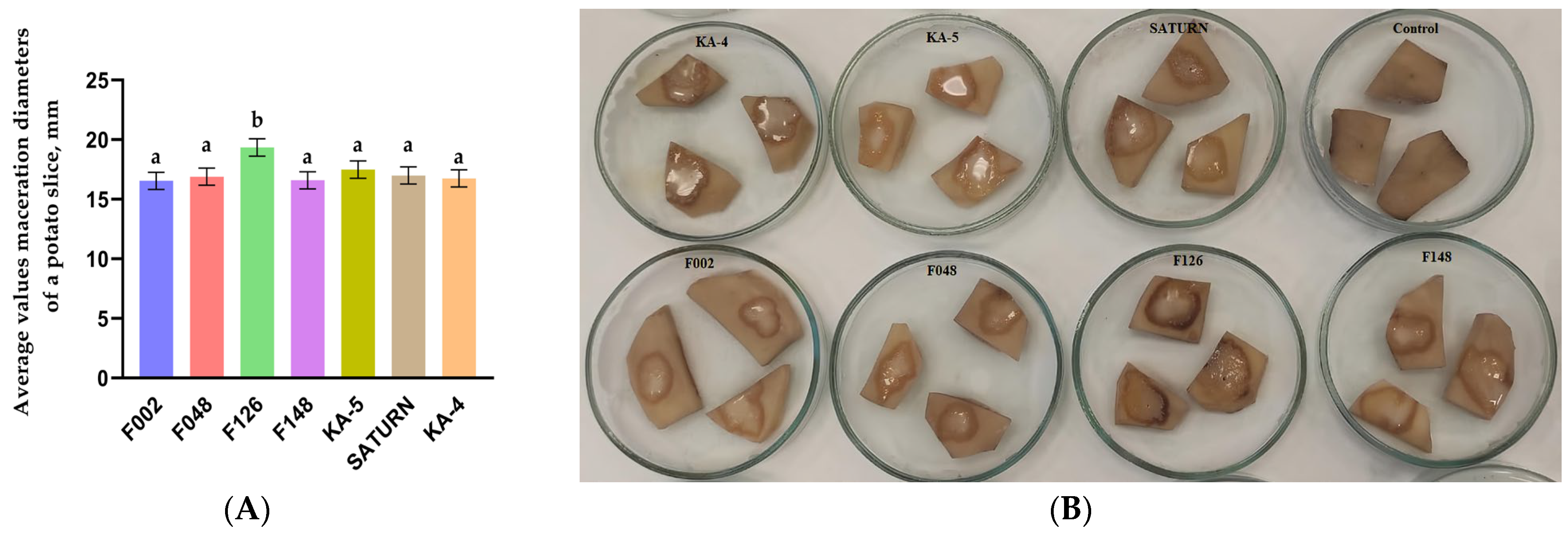 Plants 13 02144 g005