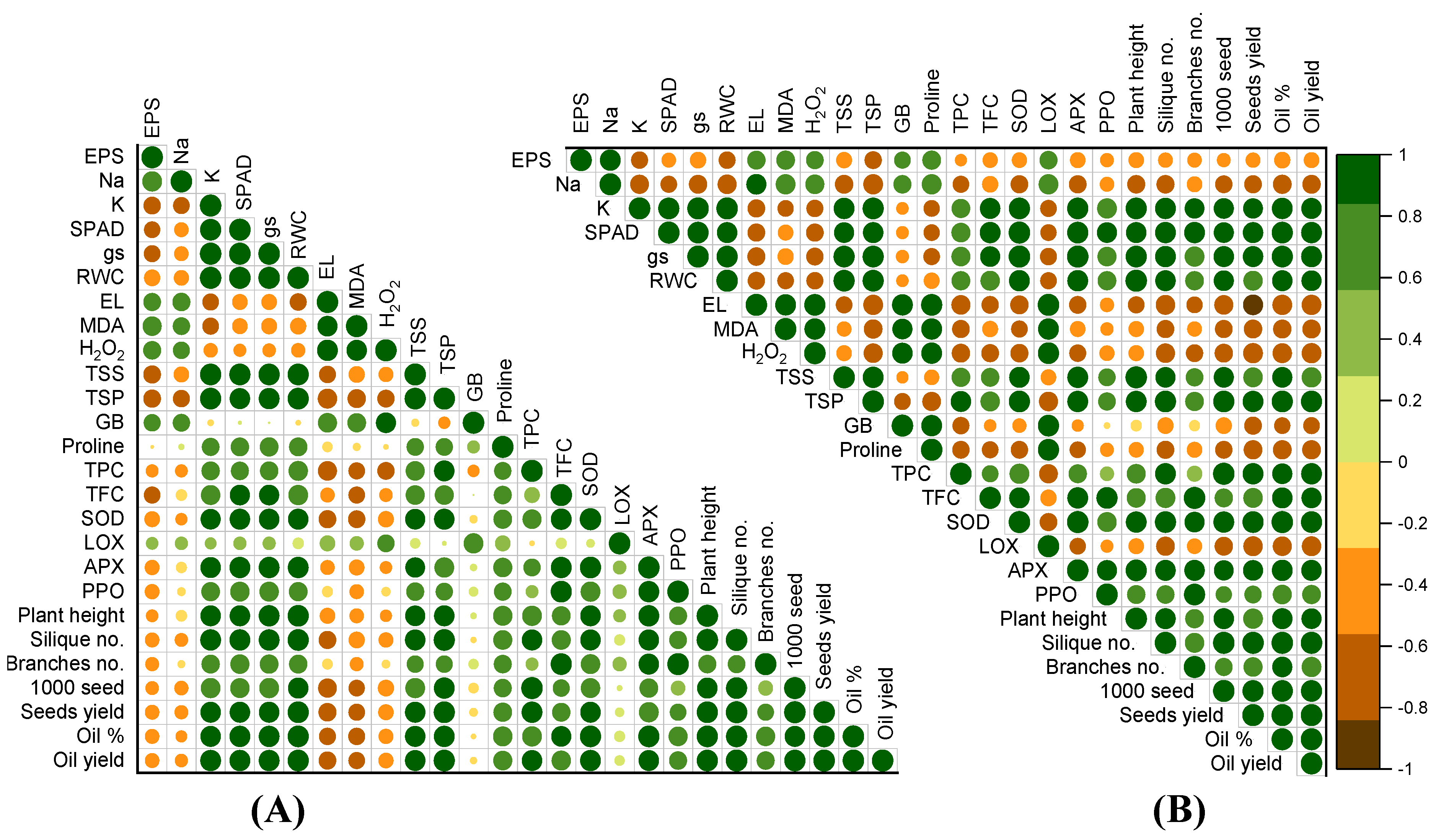 Plants 13 02152 g009