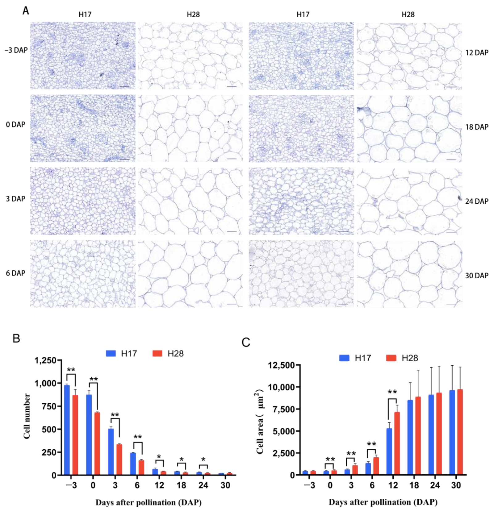 Plants 13 02154 g003