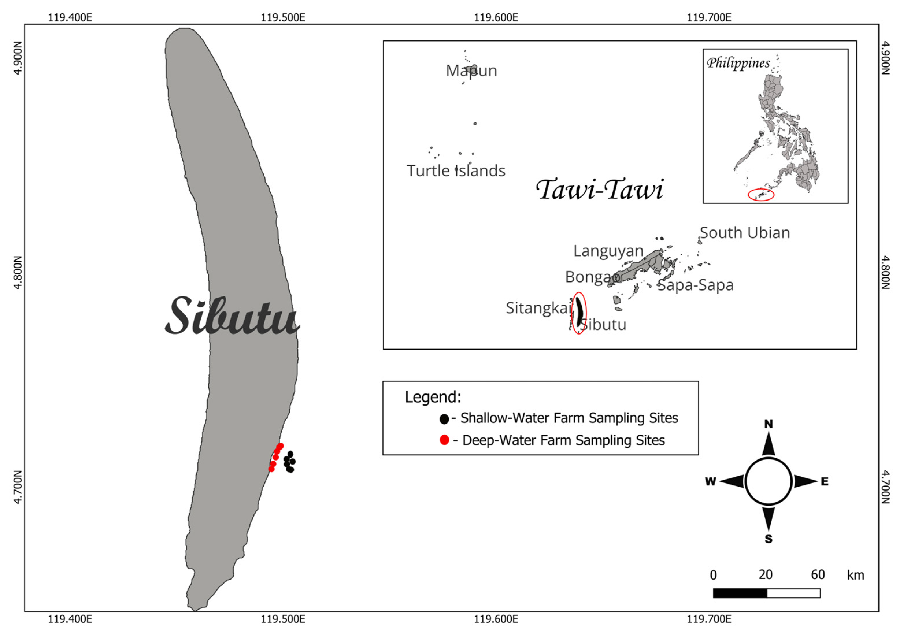 Plants 13 02157 g011