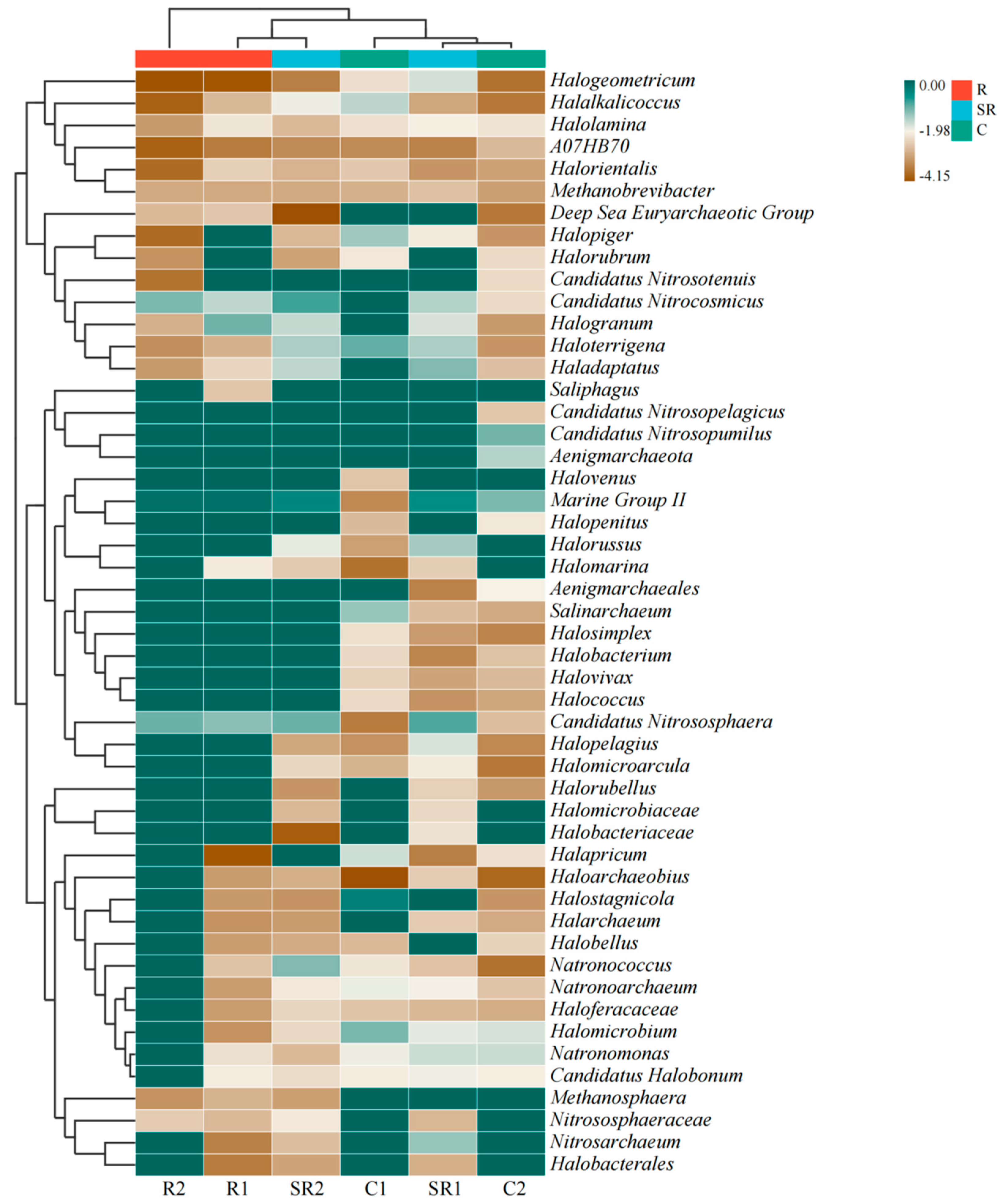 Plants 13 02159 g002
