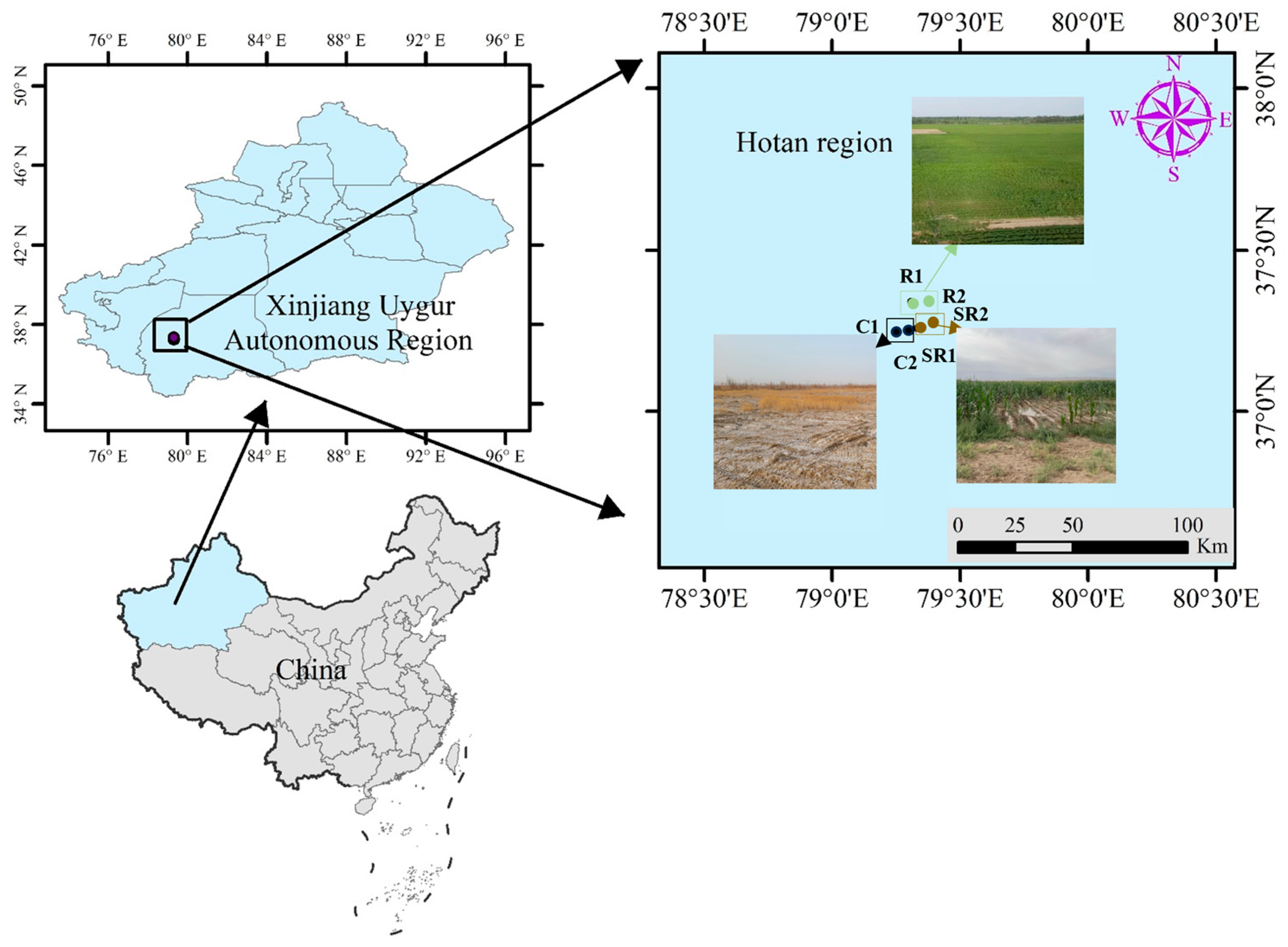 Plants 13 02159 g009