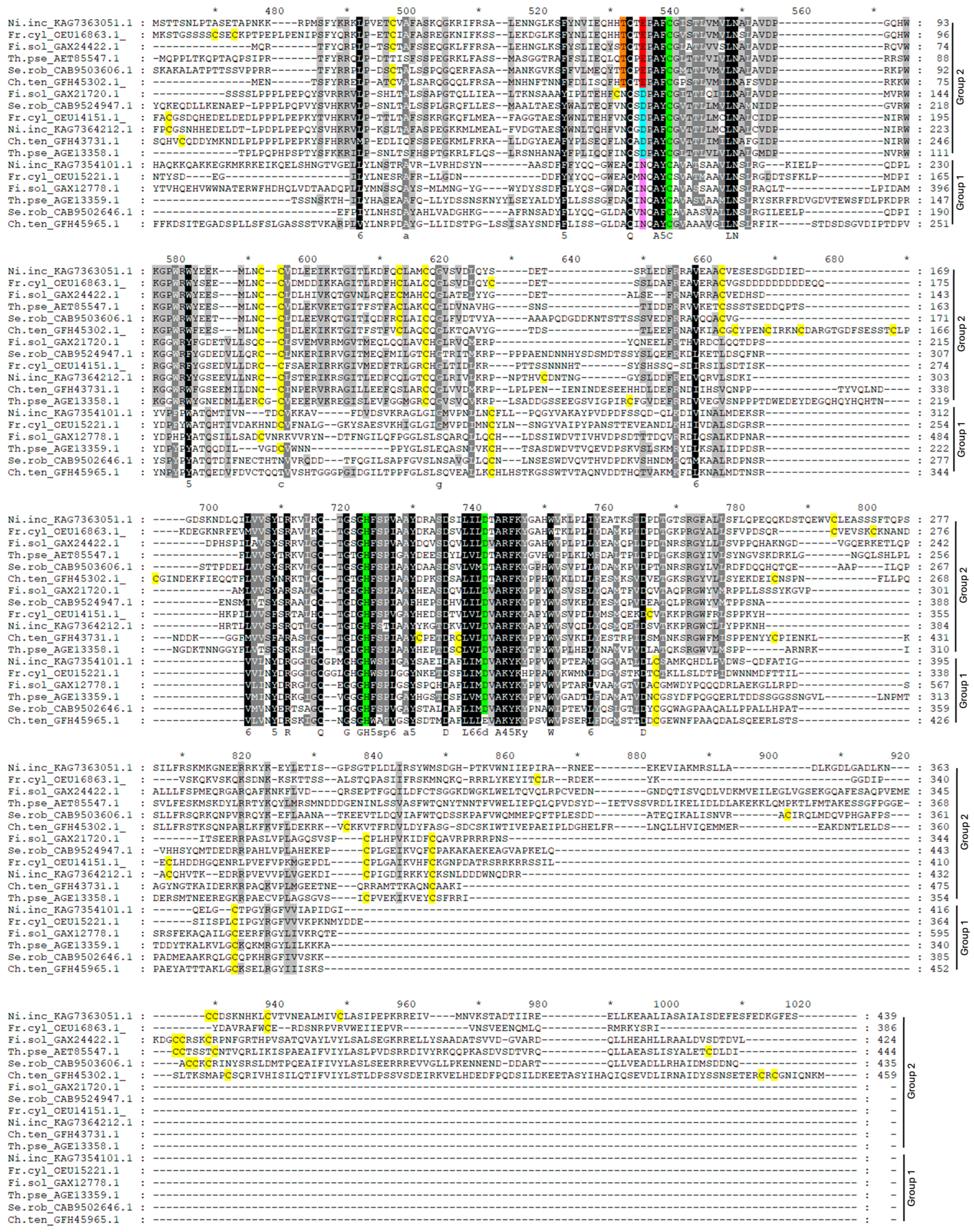 Plants 13 02165 g005