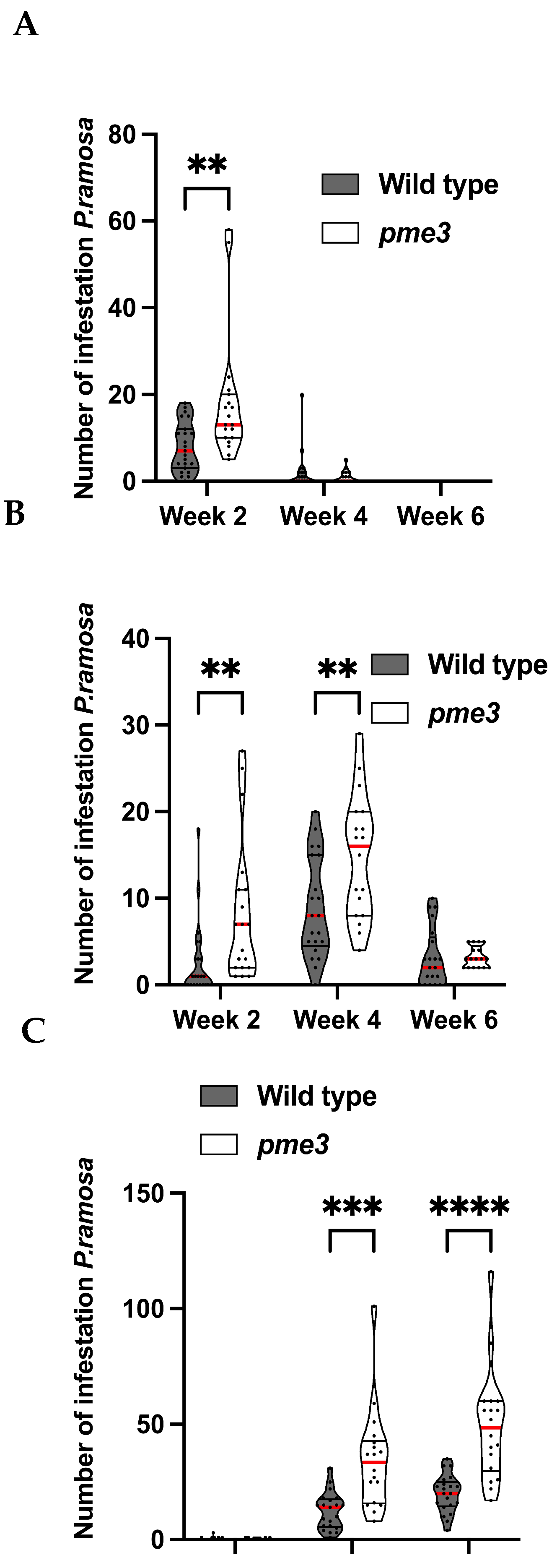 Plants 13 02168 g003