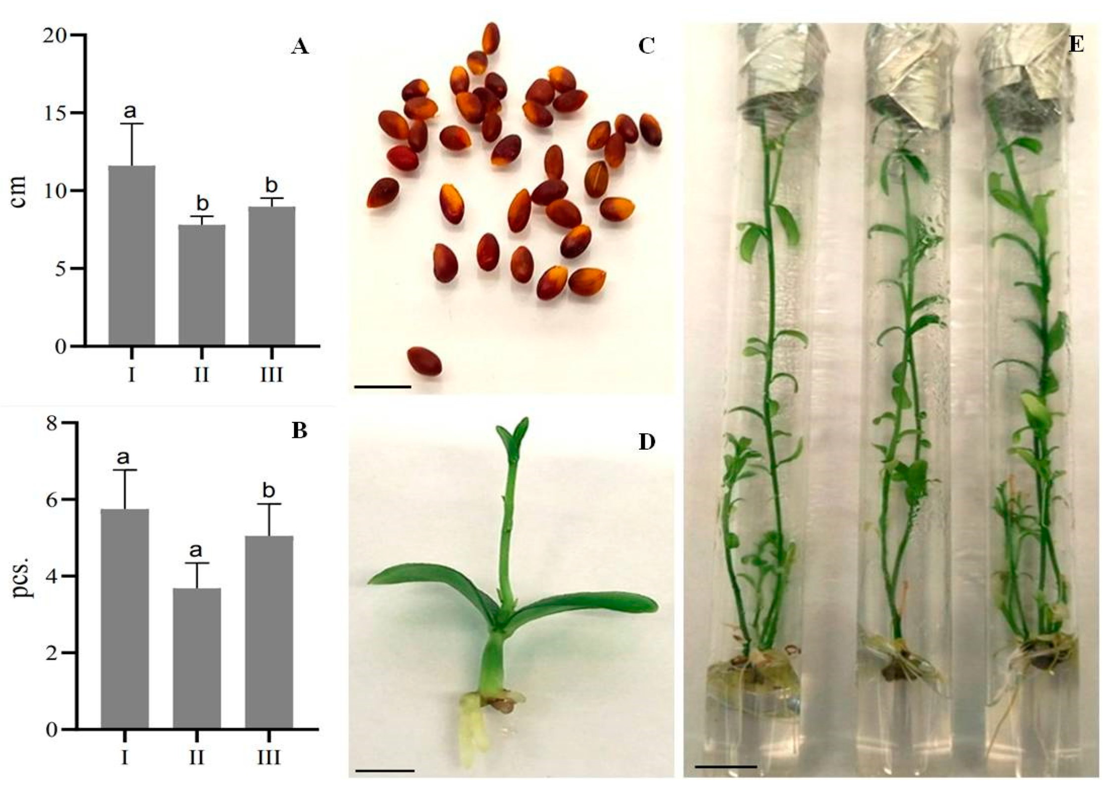 Plants 13 02174 g003