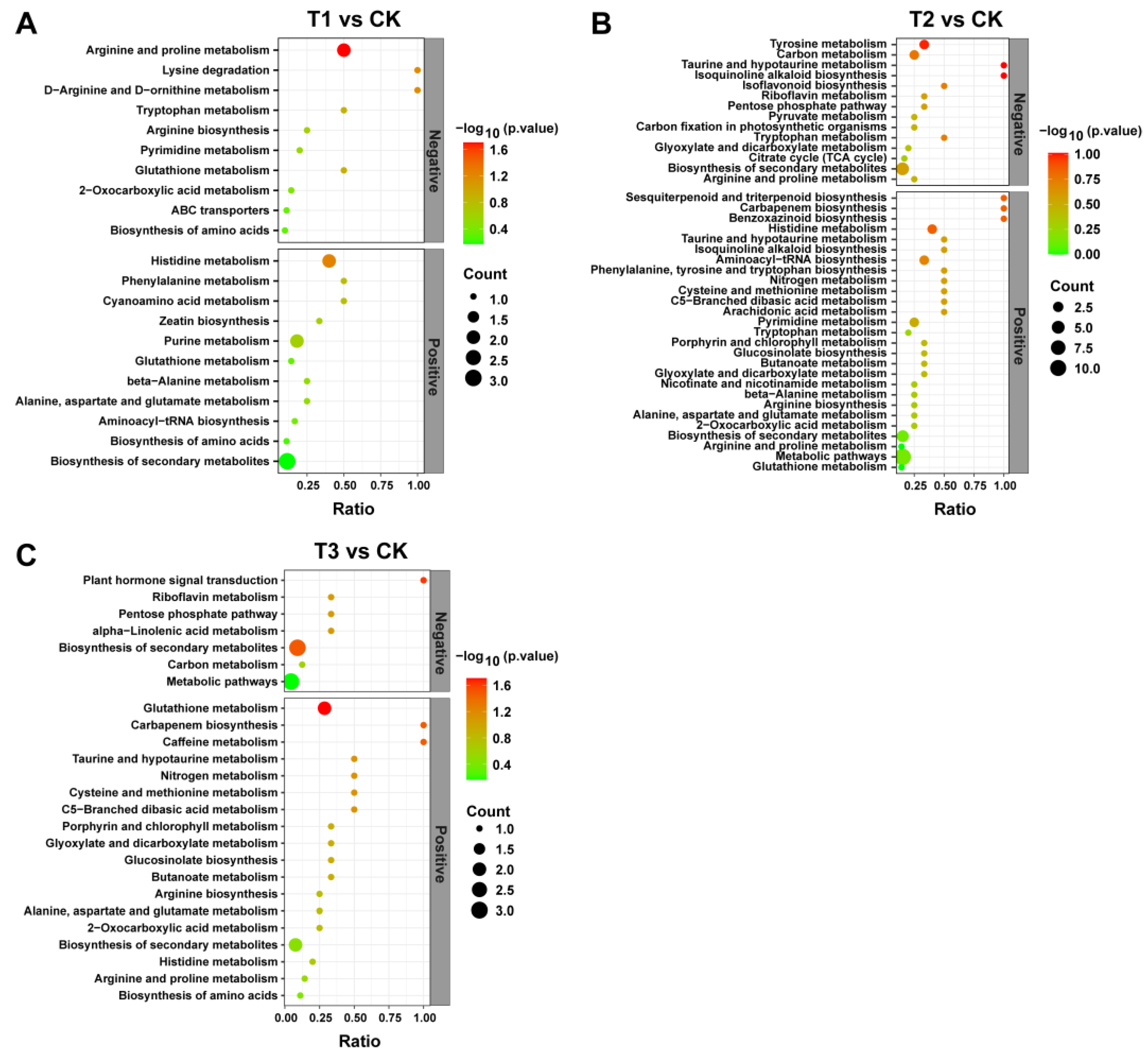 Plants 13 02180 g008
