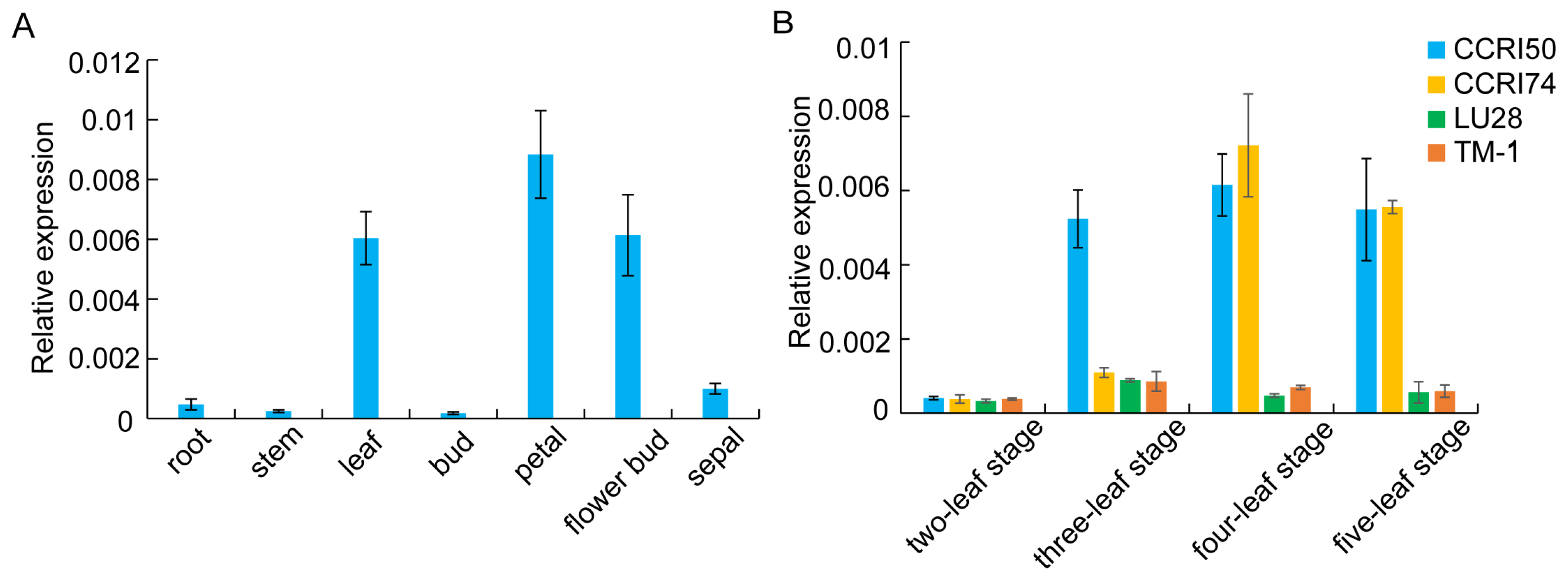 Plants 13 02181 g002