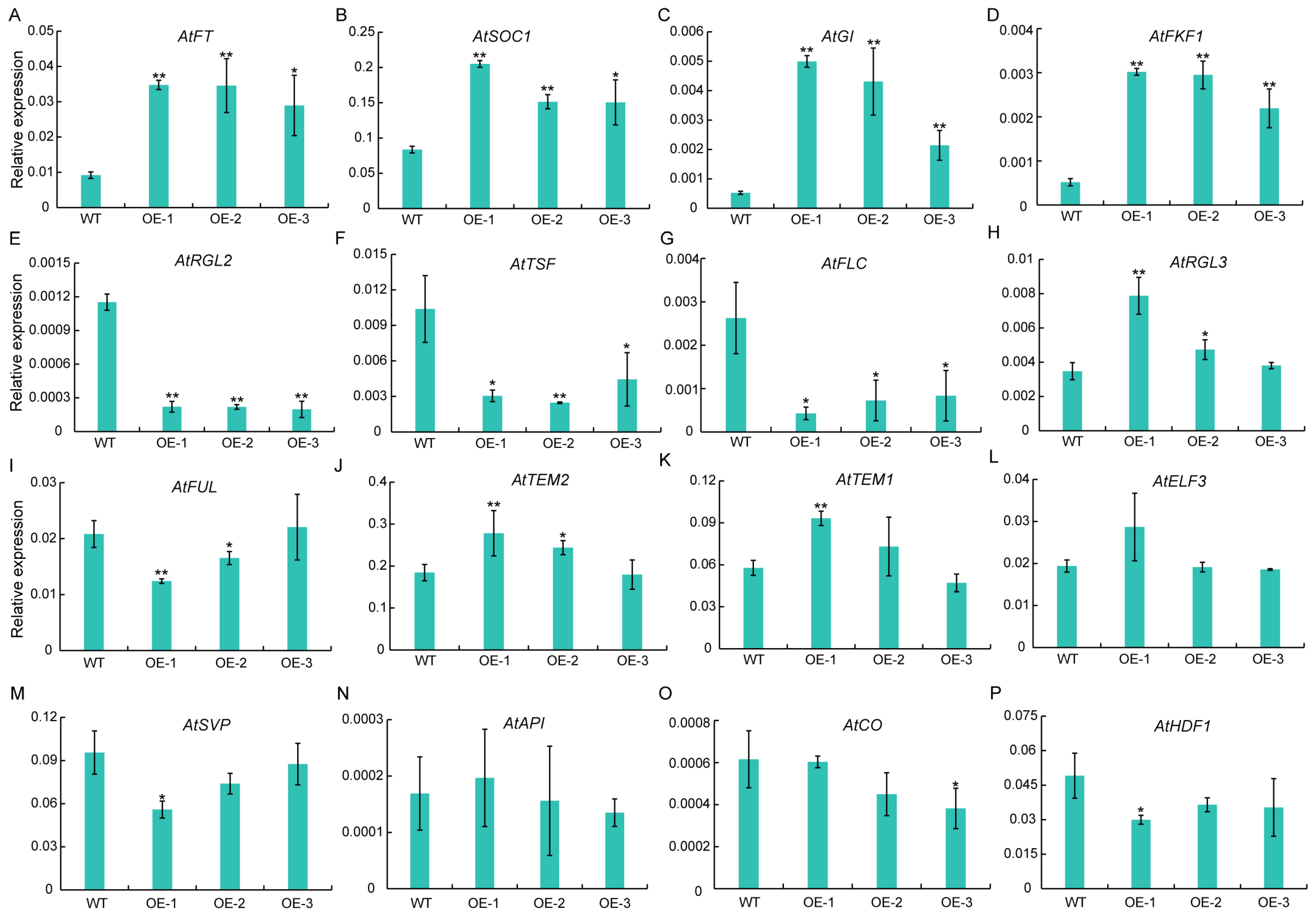 Plants 13 02181 g005