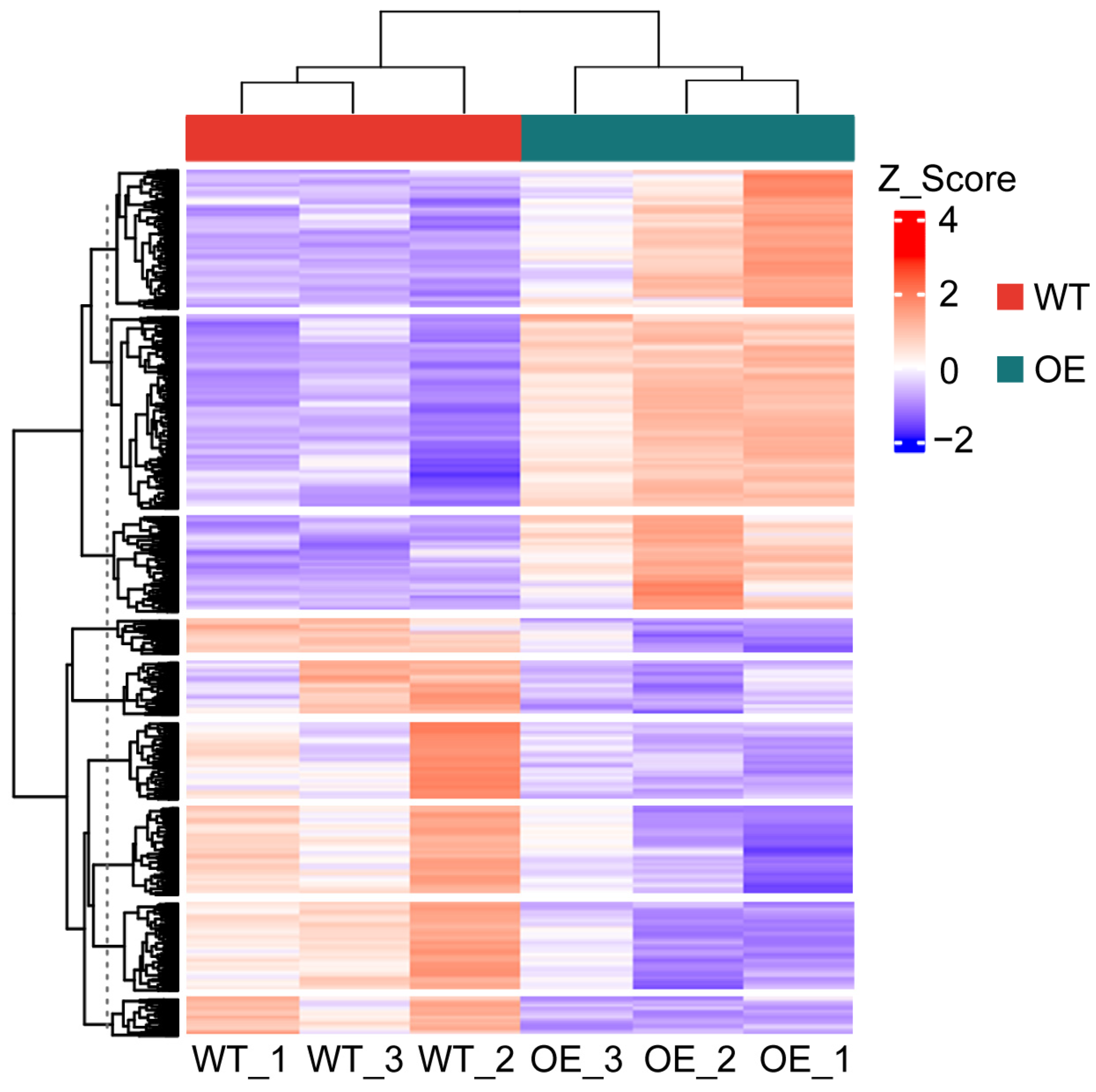 Plants 13 02181 g006