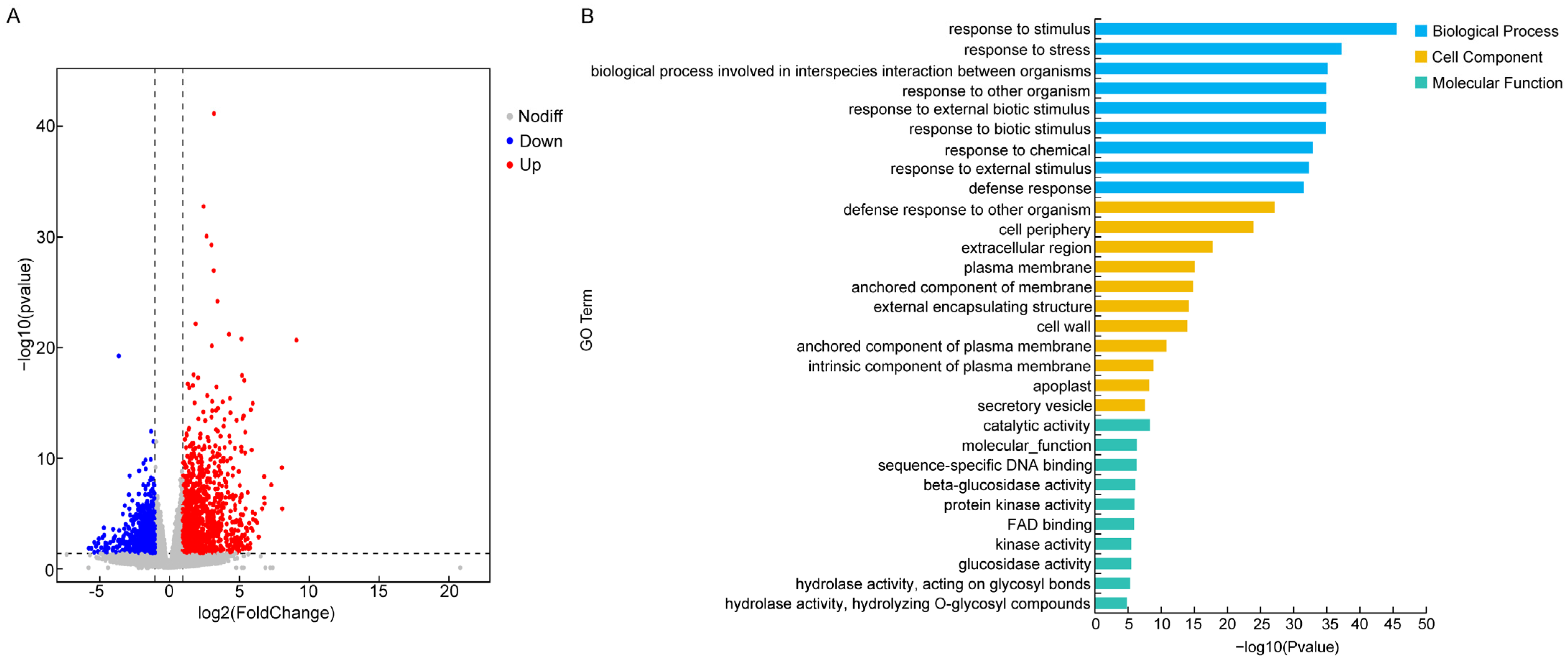 Plants 13 02181 g007