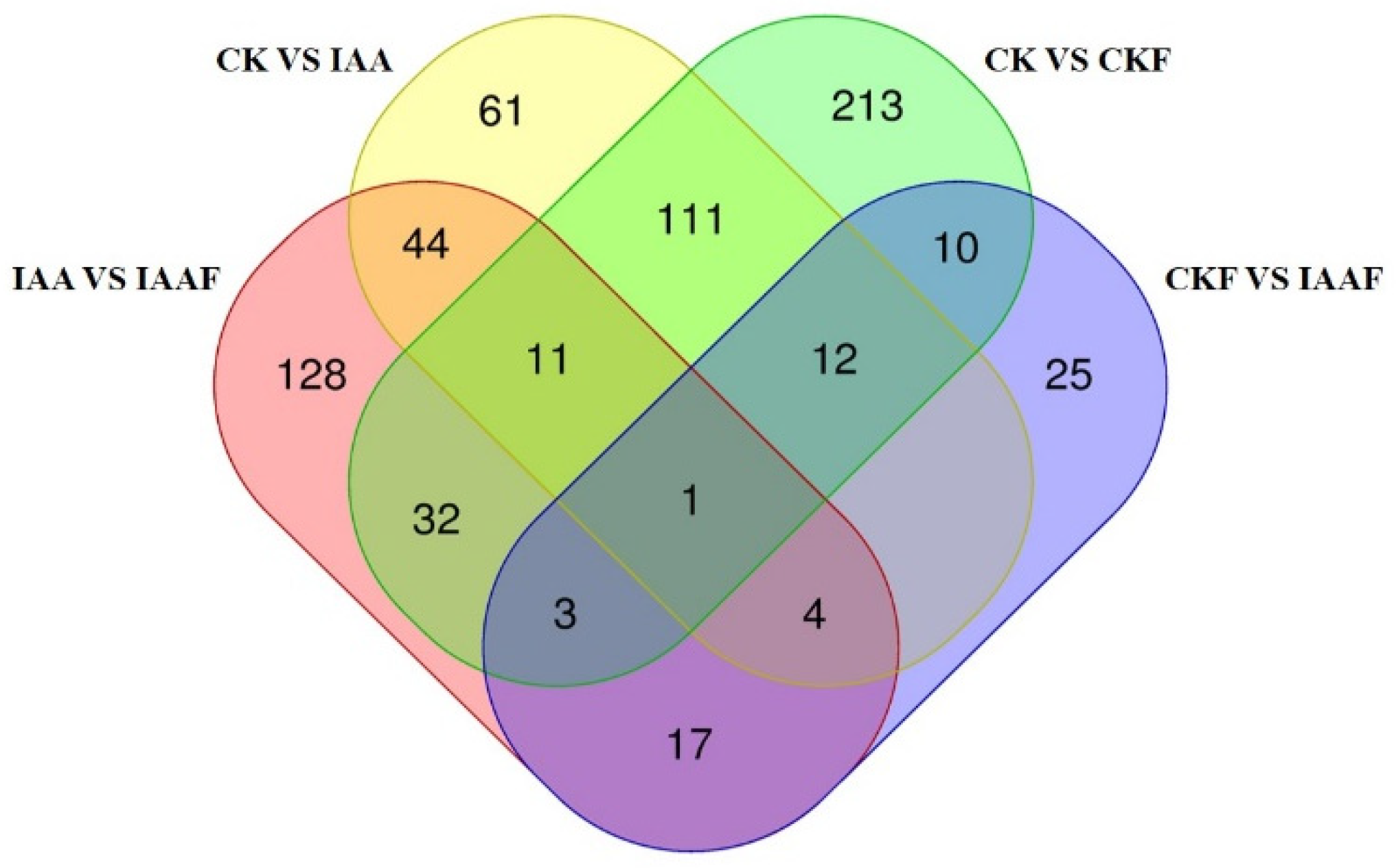 Plants 13 02184 g006