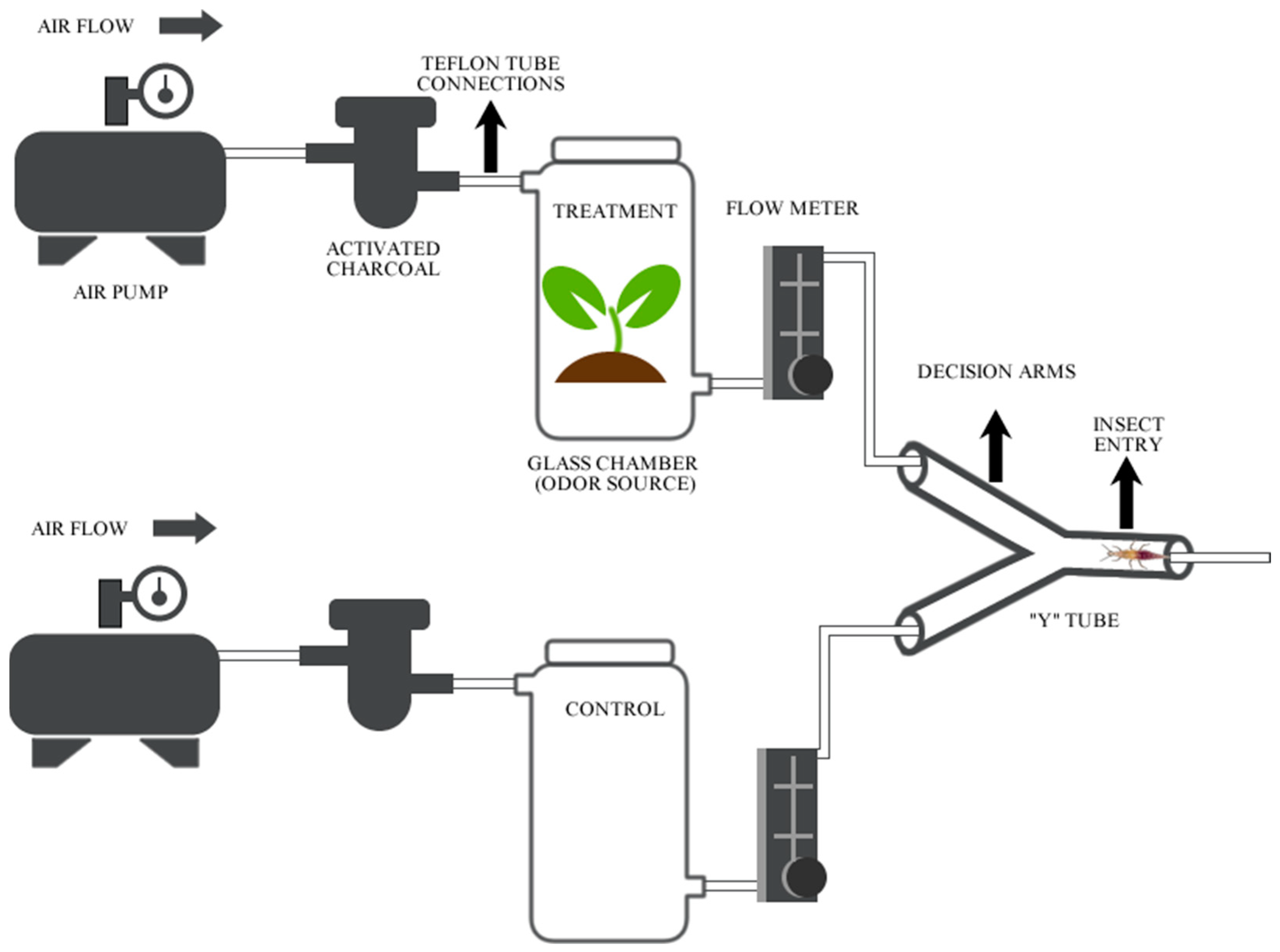 Plants 13 02192 g001 Plants 13 02192 g001