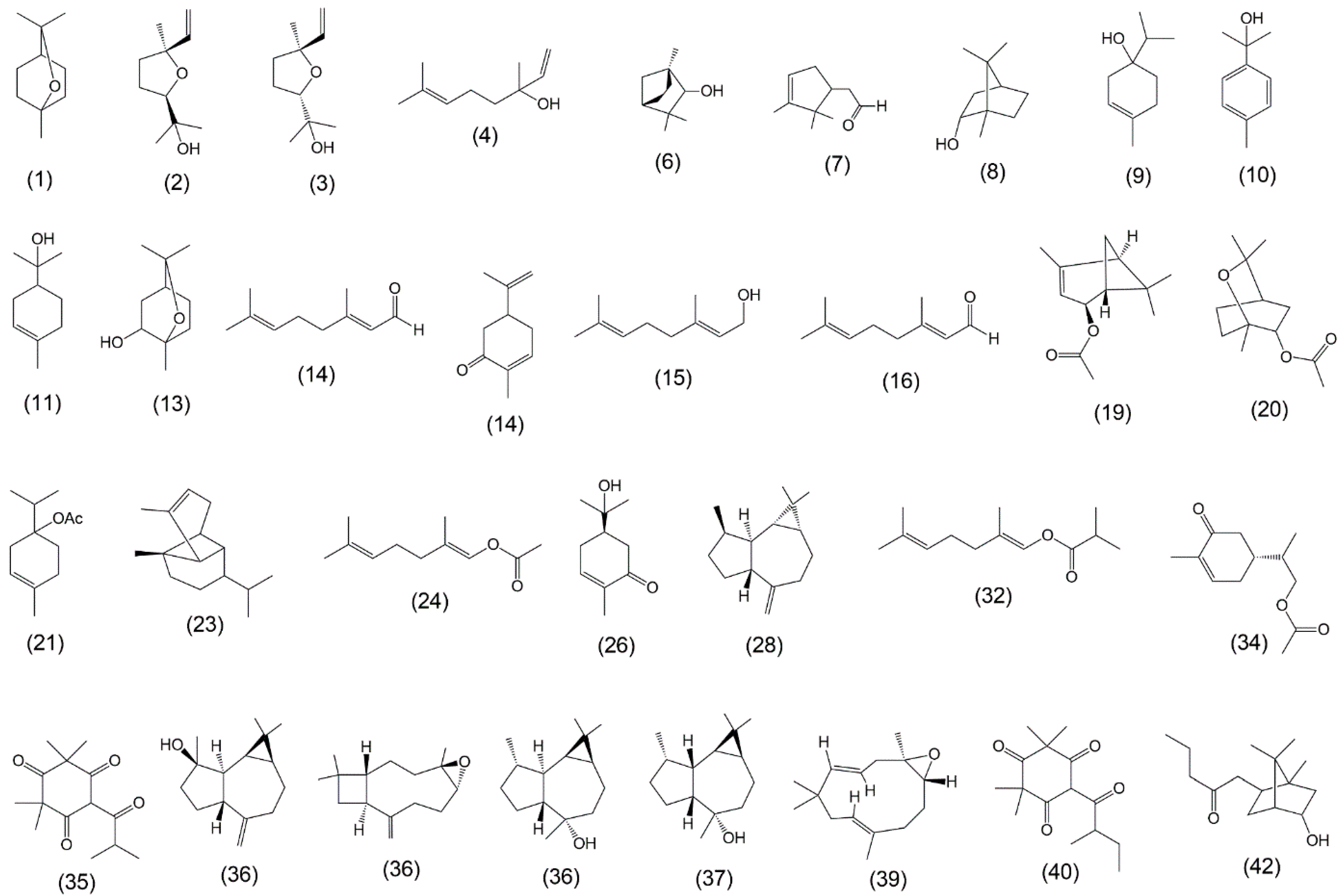 Plants 13 02192 g002 Plants 13 02192 g002
