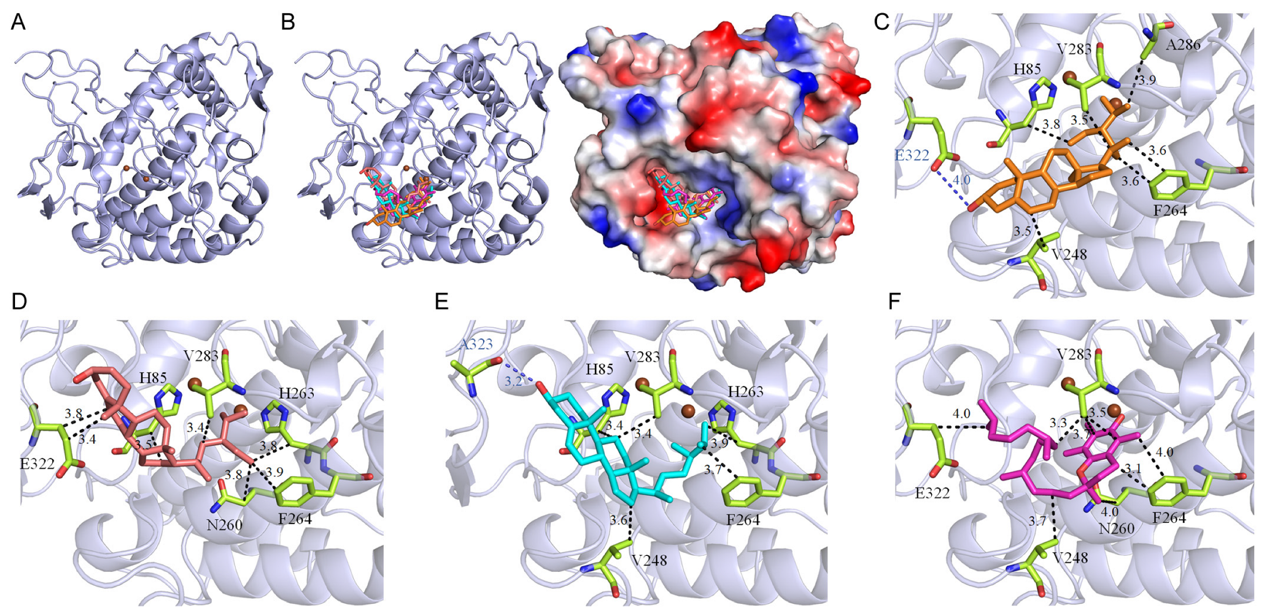 Plants 13 02194 g001 Plants 13 02194 g001