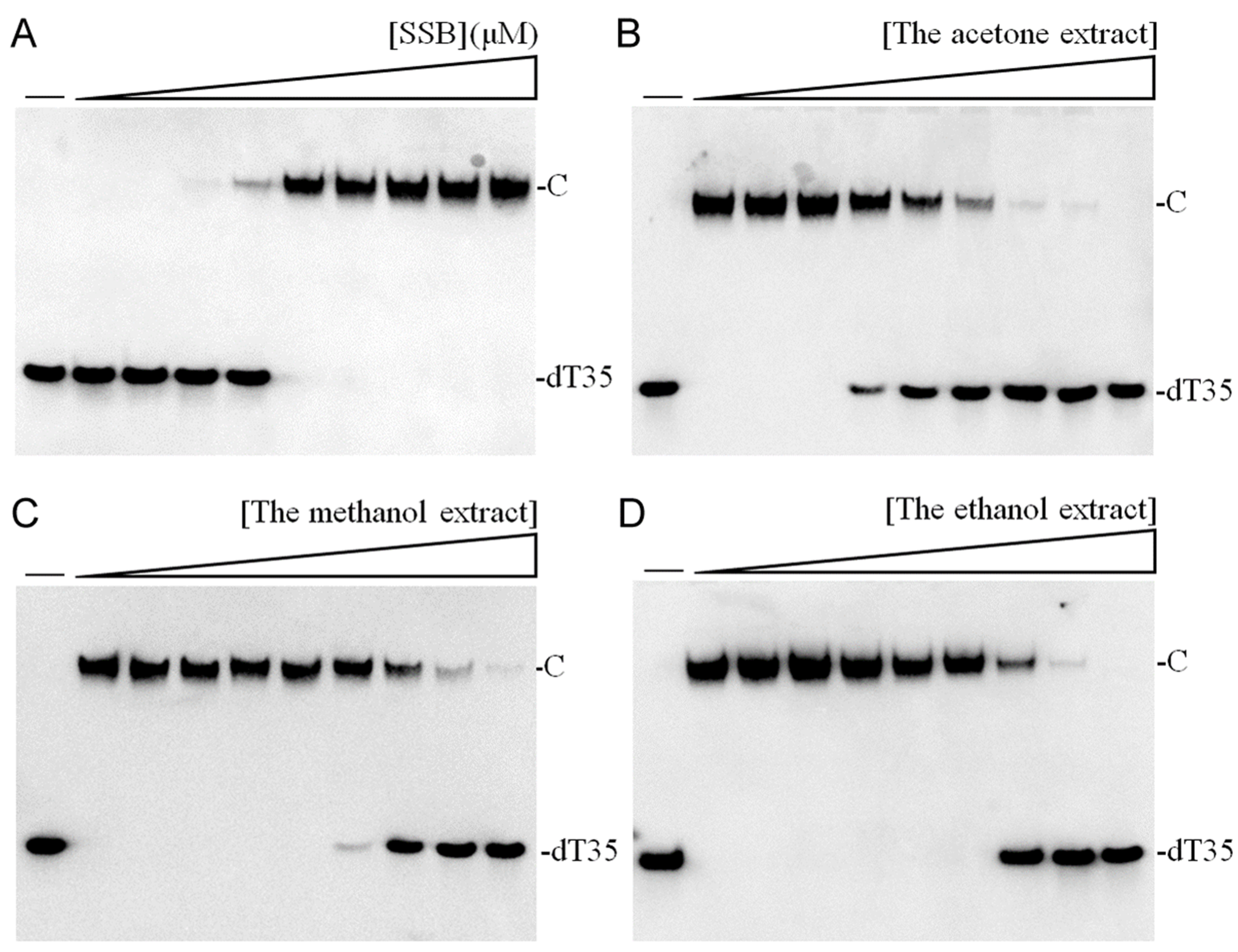 Plants 13 02194 g002 Plants 13 02194 g002