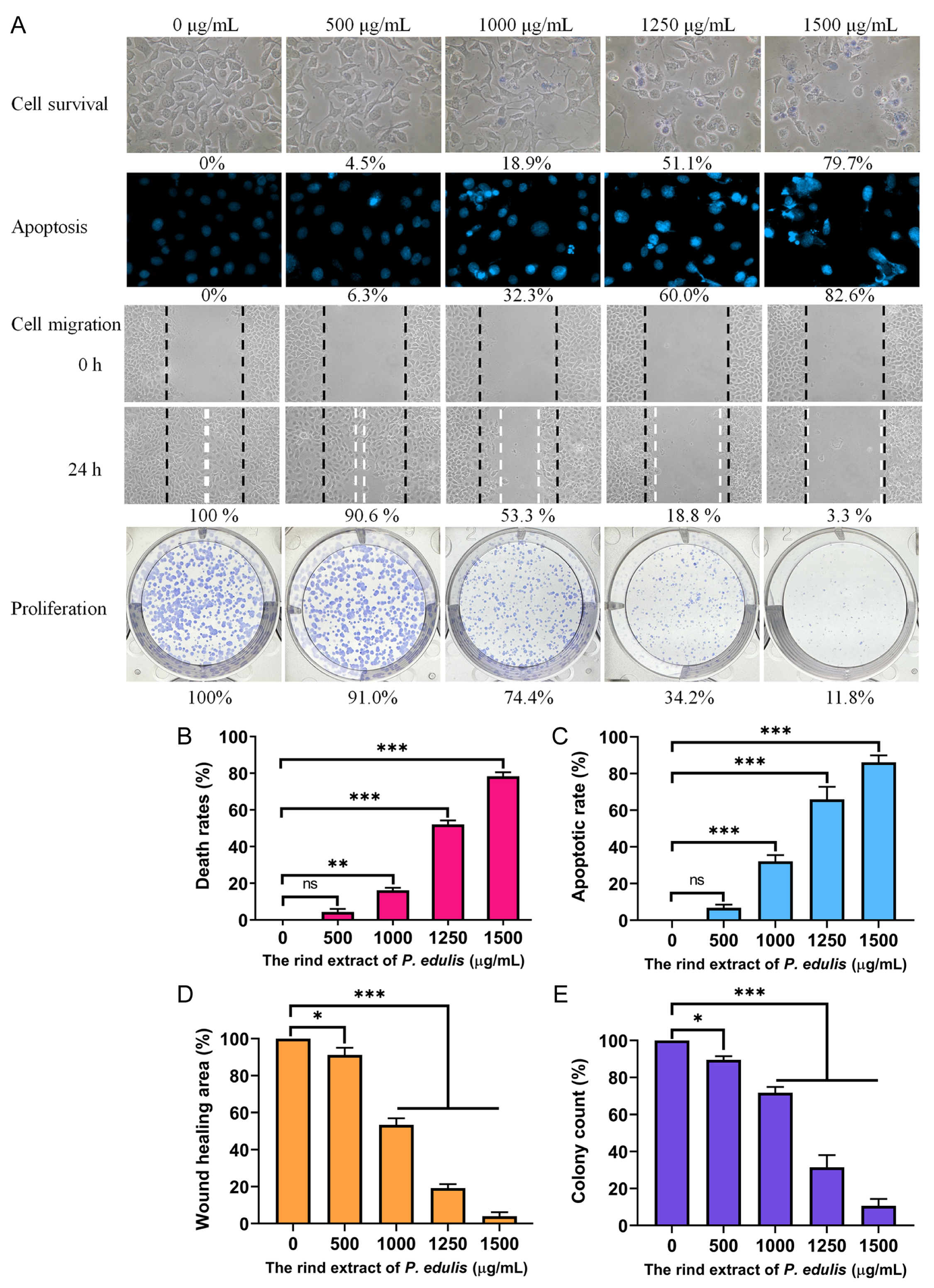 Plants 13 02194 g004 Plants 13 02194 g004