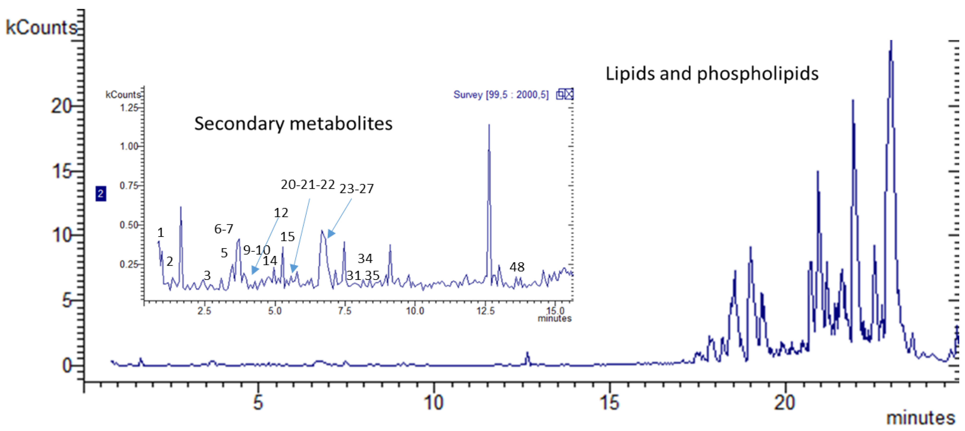 Plants 13 02195 g001