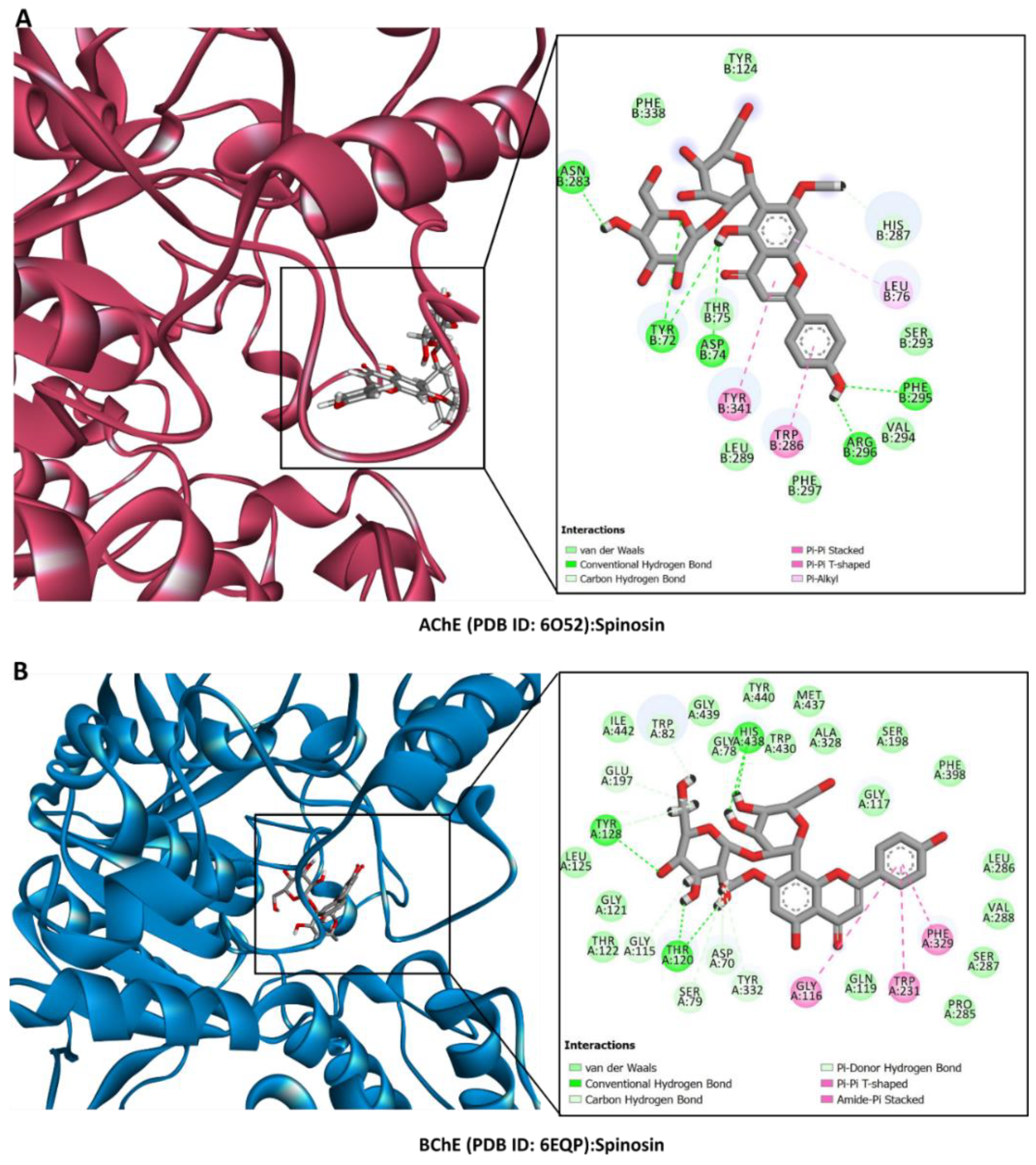 Plants 13 02195 g005