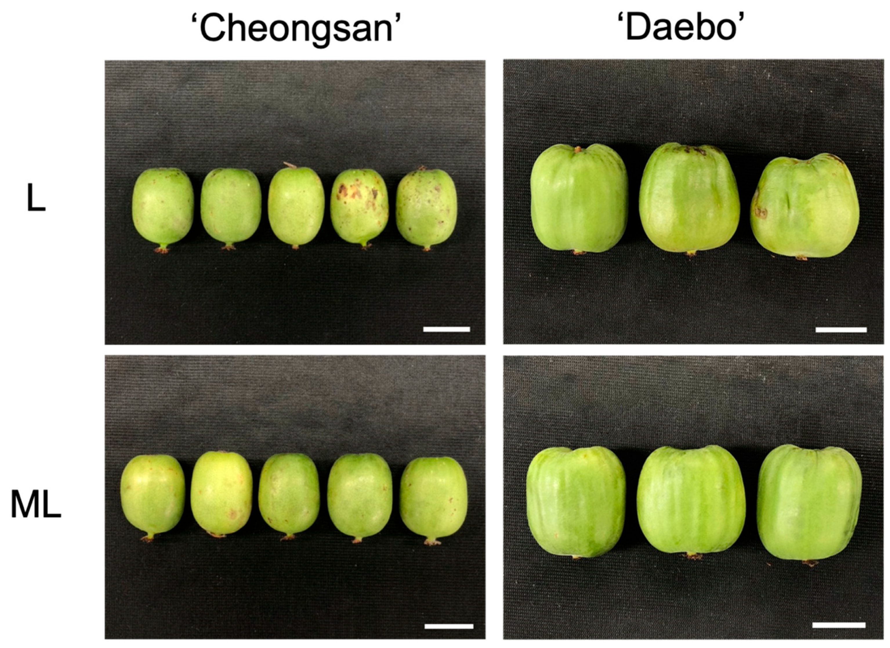 Plants 13 02201 g003