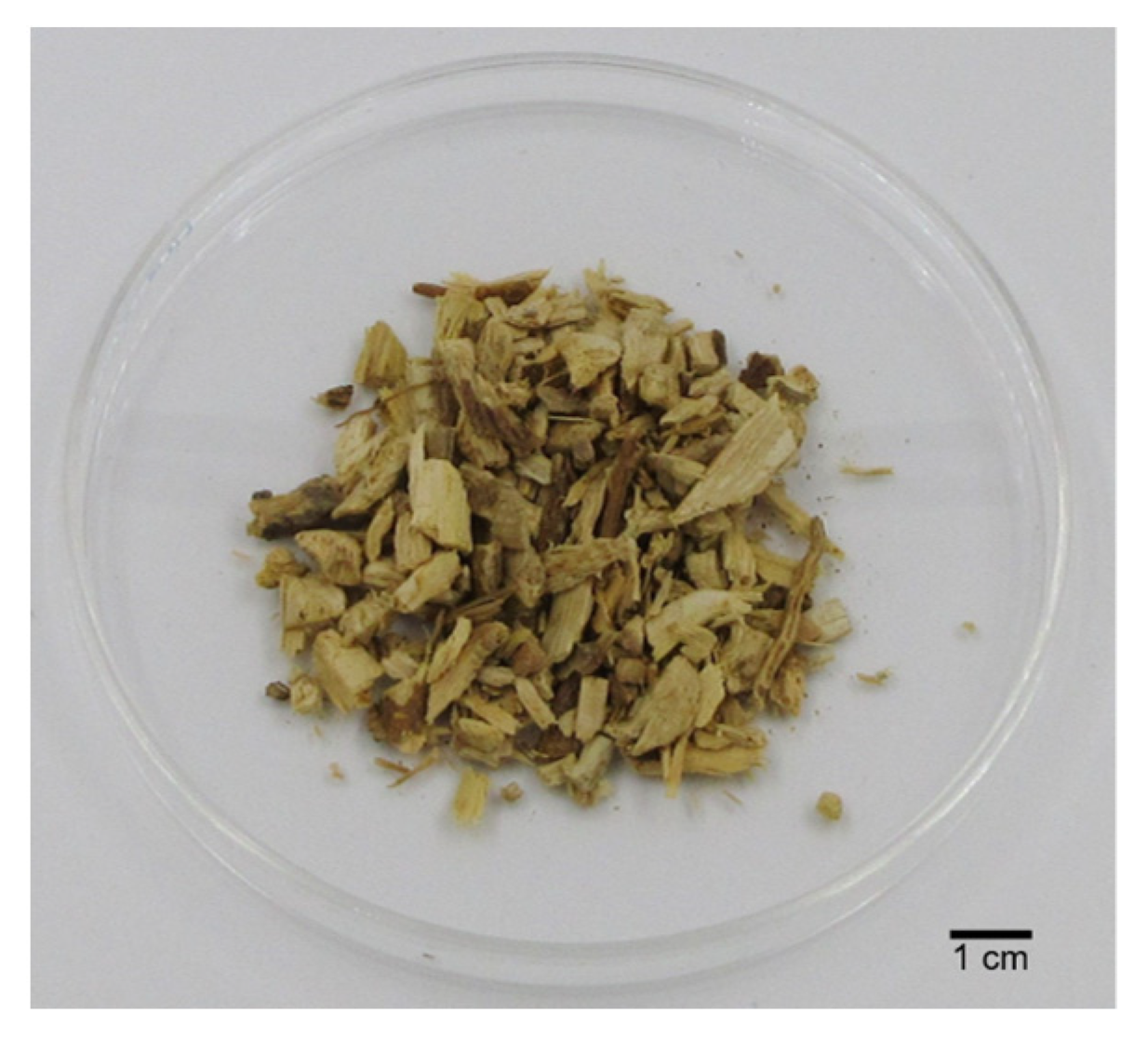 Plants 13 02208 g009